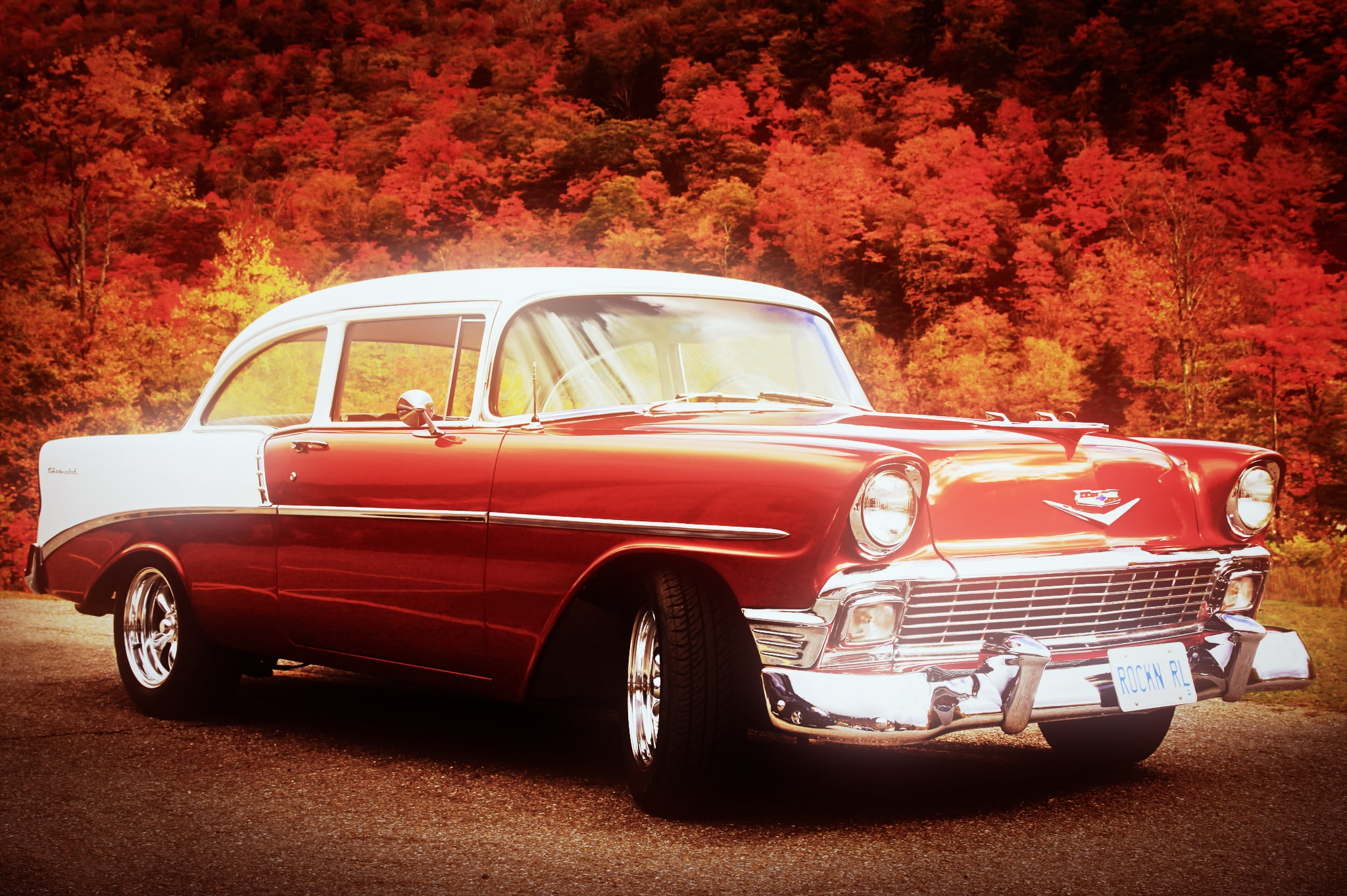 red cars, stationary, tree, land vehicle, Chevrolet, day, vintage car, transportation, nature, plant, 1080P, red, Oldtimer, no people, bel-air, autumn, HD Wallpaper
