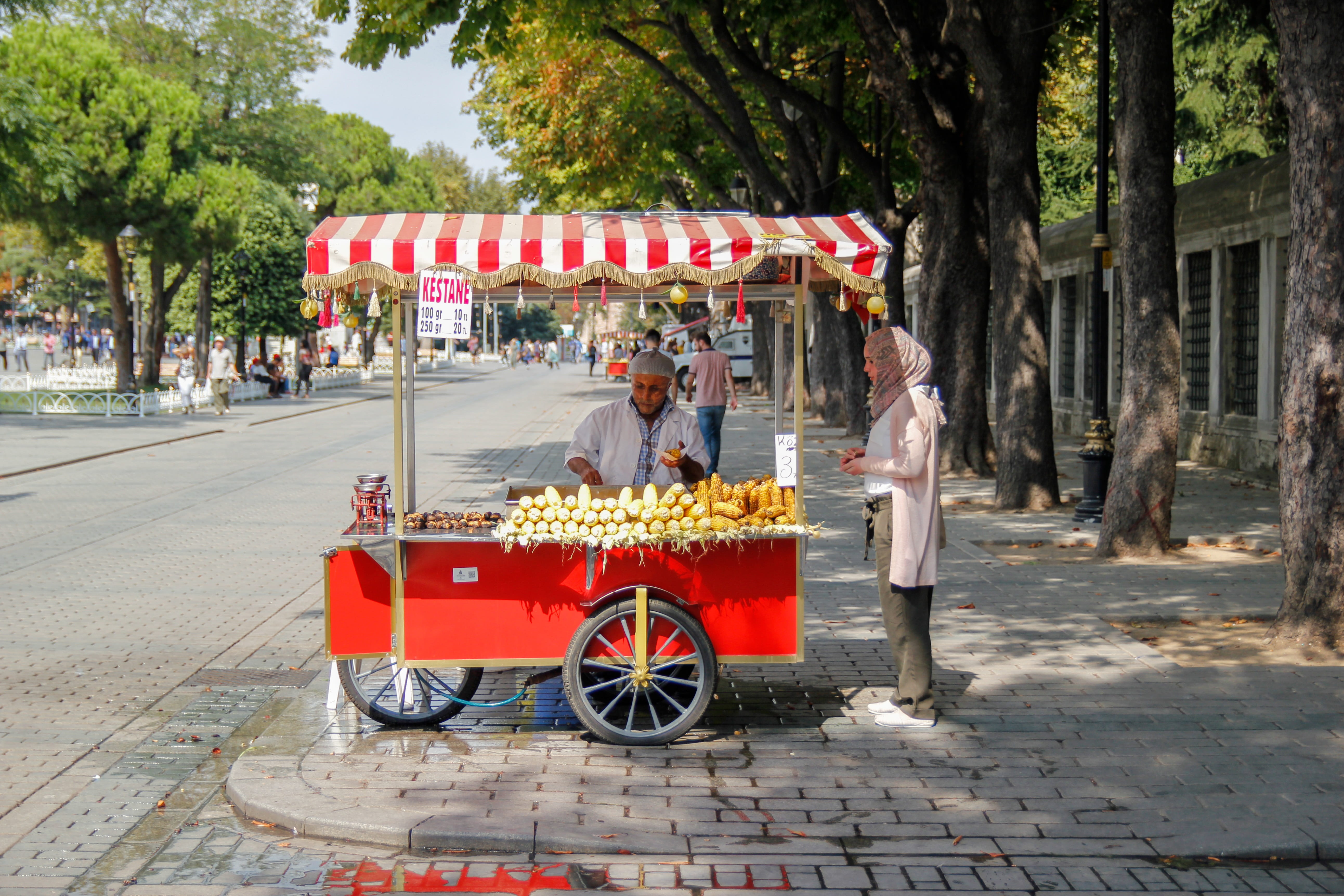 men, group of people, real people, people, istanbul, concession stand, business, sultanahmet, shopkeeper, summer, corn, since, turkey, street, adult, street stall, HD Wallpaper