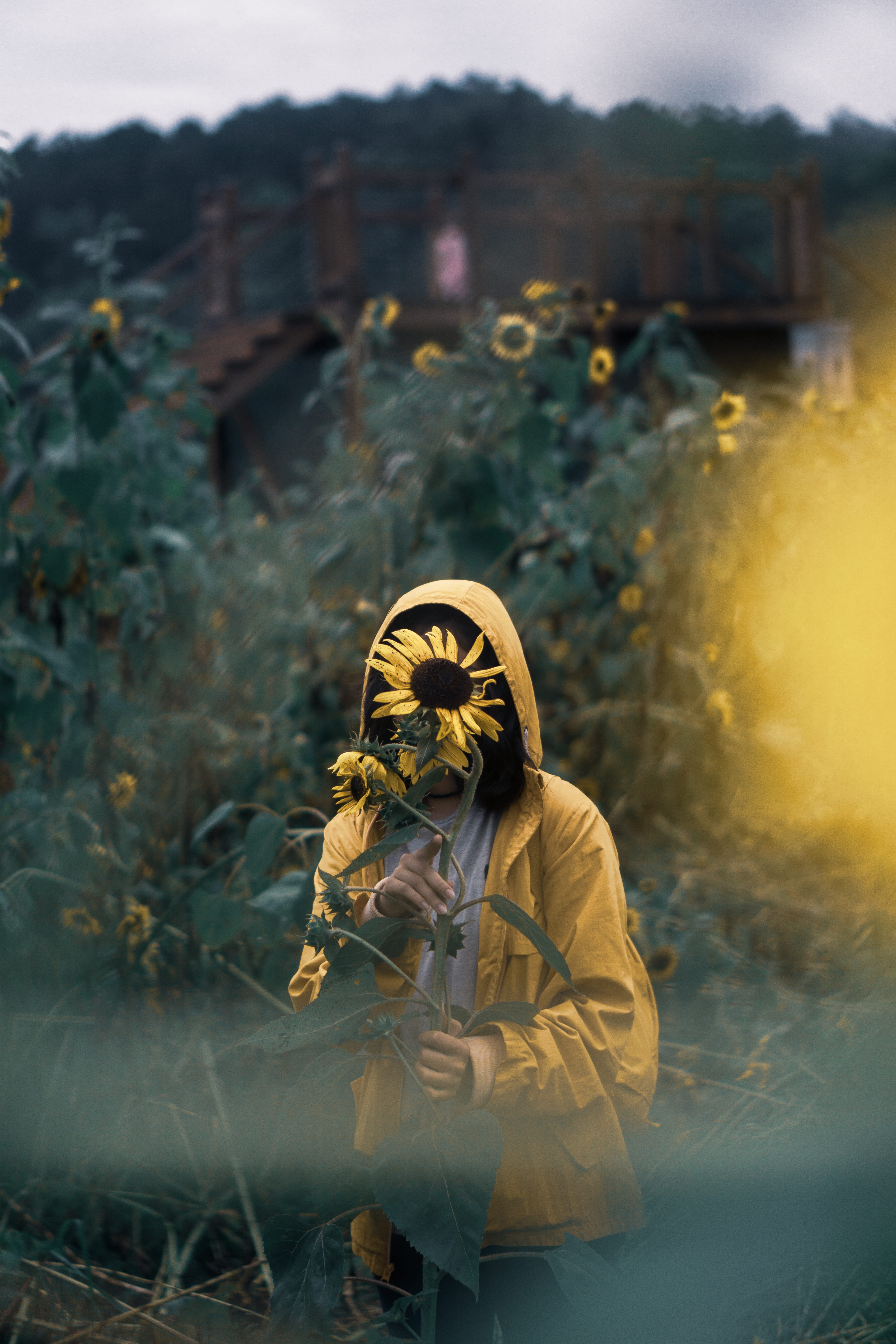 yellow, toxic Substance, radiation, pollution, environmental Damage, standing, nature, flower, men, sunflower, factory, natural Disaster, radiation Protection Suit, Phone HD Wallpaper