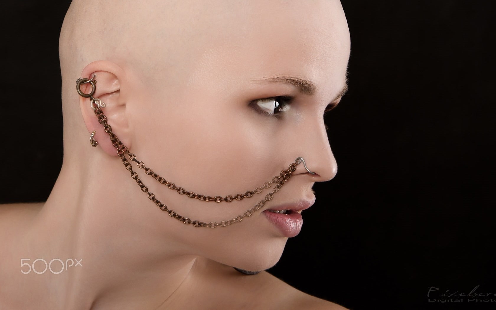 close-up, human face, beautiful woman, women, fashion, bald head, 720P, headshot, studio shot, model, human body part, Jens Dahler, piercing, human lips, HD Wallpaper
