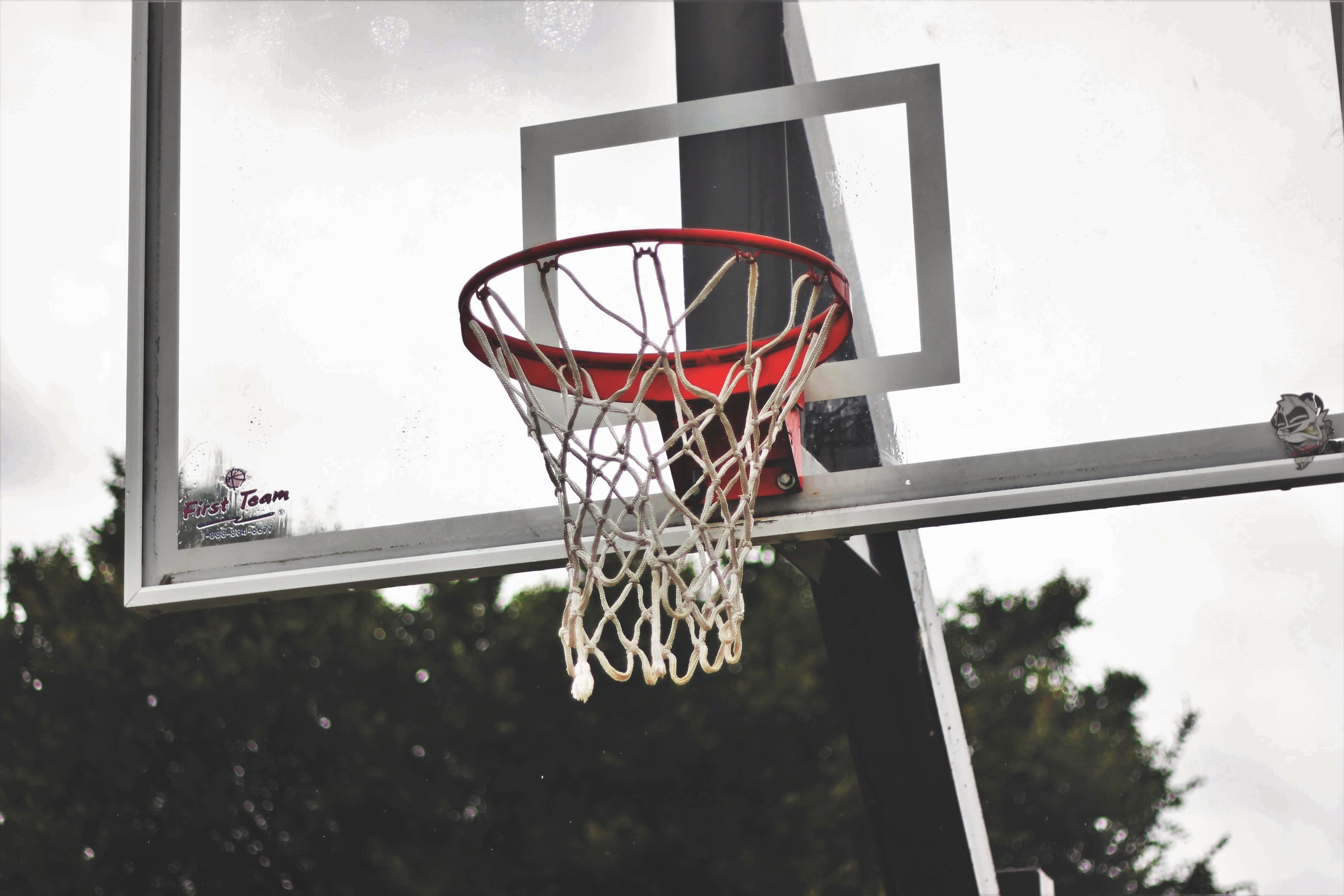 leisure activity, competitive Sport, slam Dunk, nature, shape, sport, competition, no People, recreational Pursuit, low angle view, tree, focus on foreground, HD Wallpaper