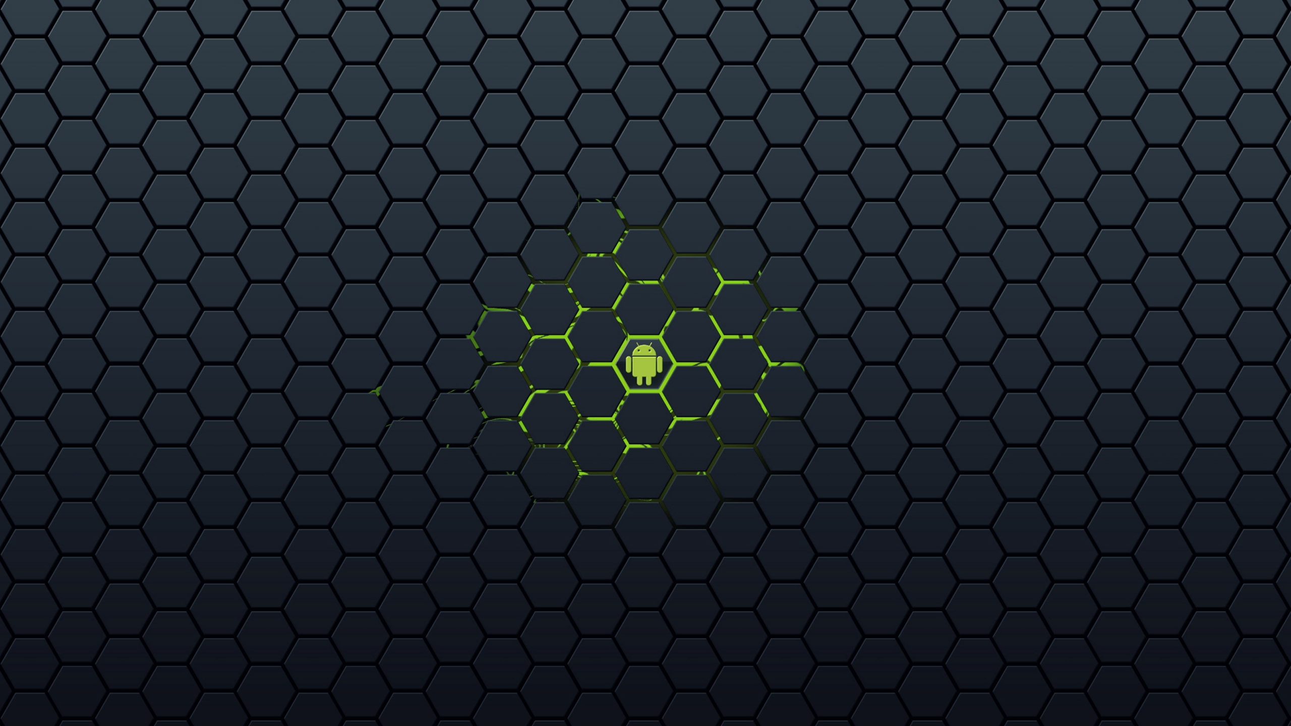 2K, lollipop, android, jellybean, kitkat, HD Wallpaper