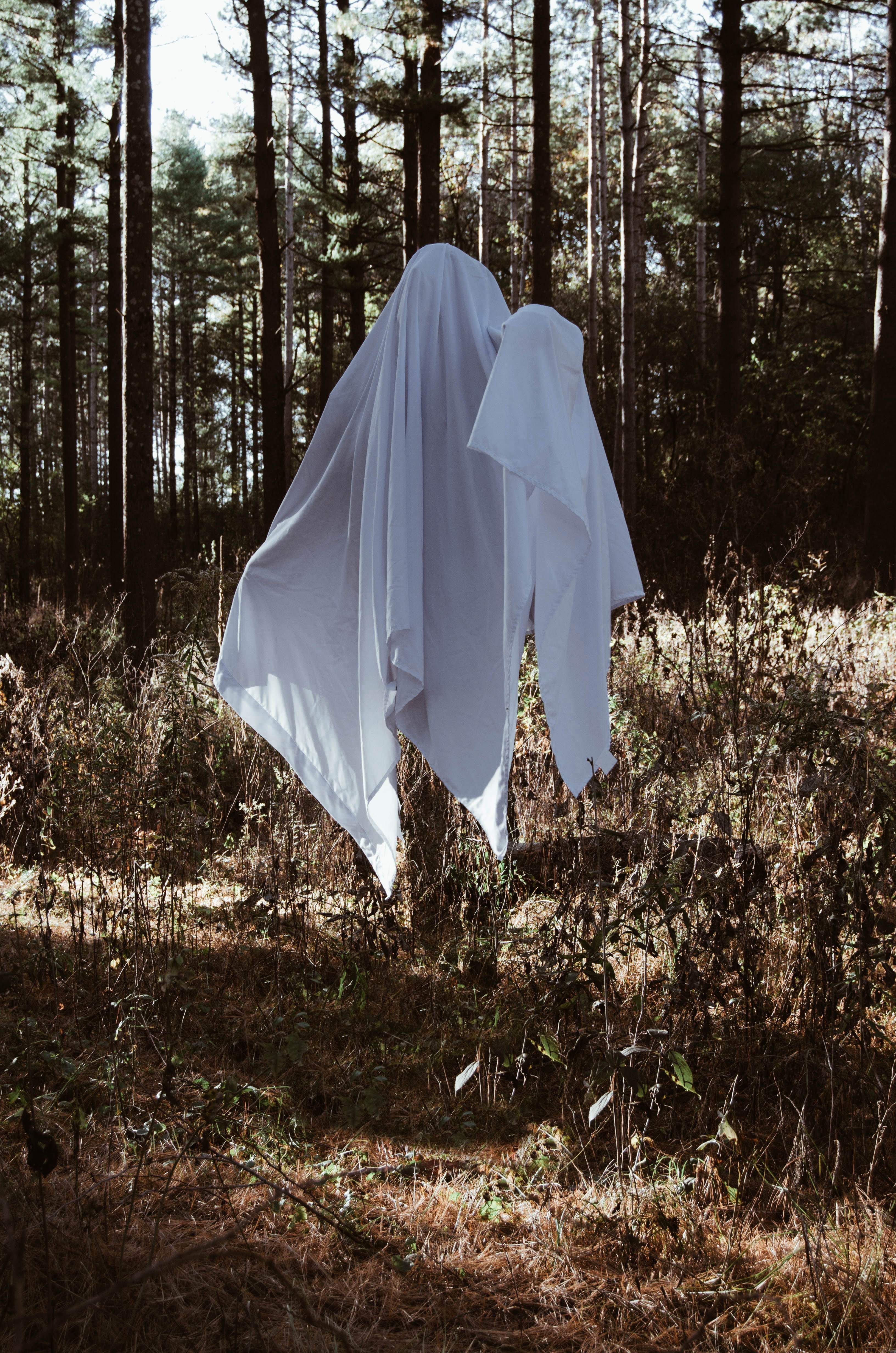  goth, halloween, textile, trees, field, earth, hell, tranquility, environment, photo, moody, spooky, person, plant, growth, Phone HD Wallpaper