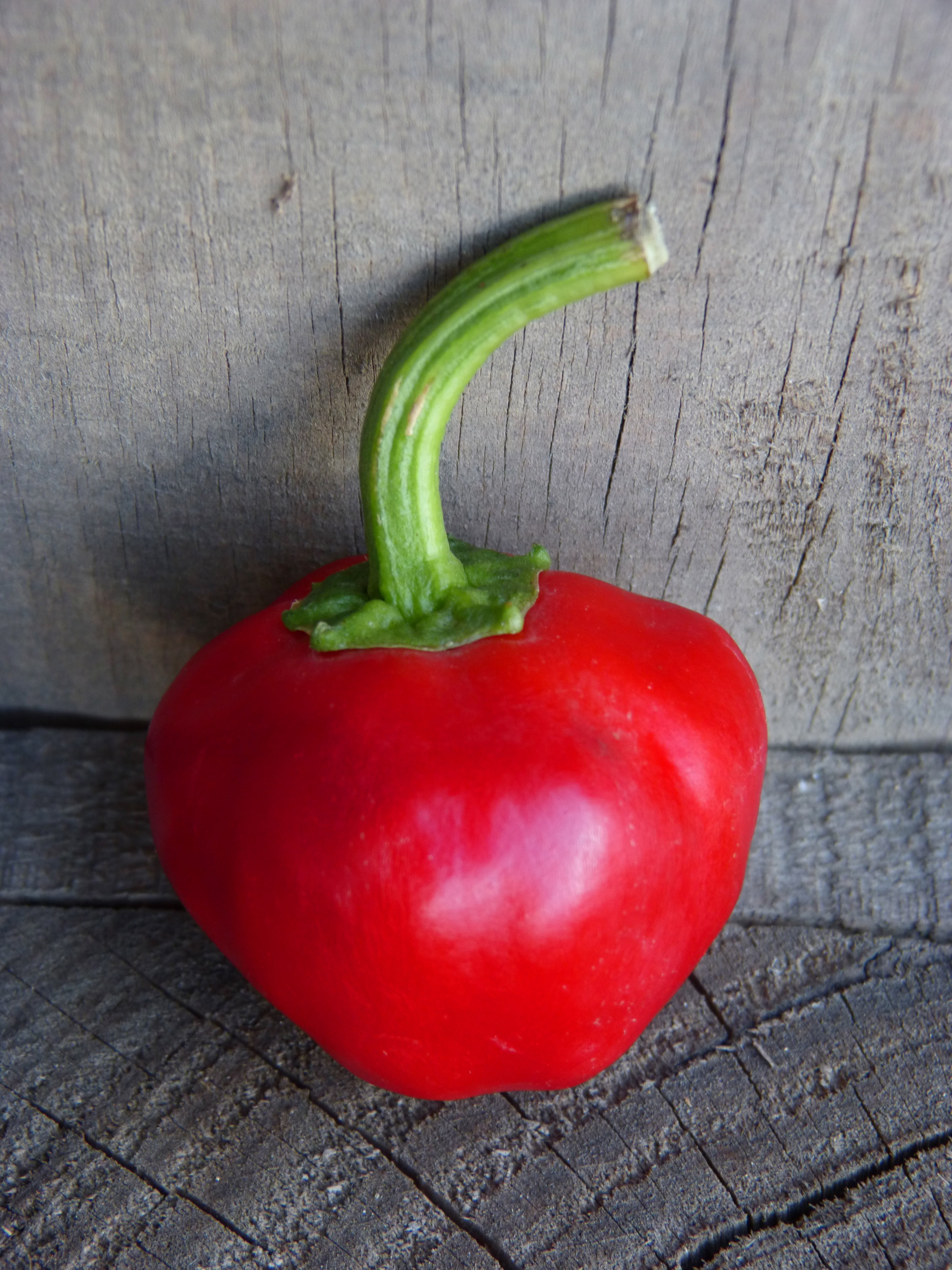 raw food, high angle view, vegetable, wood - material, red pepper, close-up, red bell pepper, freshness, healthy eating, food, no people, vegetarian food, Phone HD Wallpaper