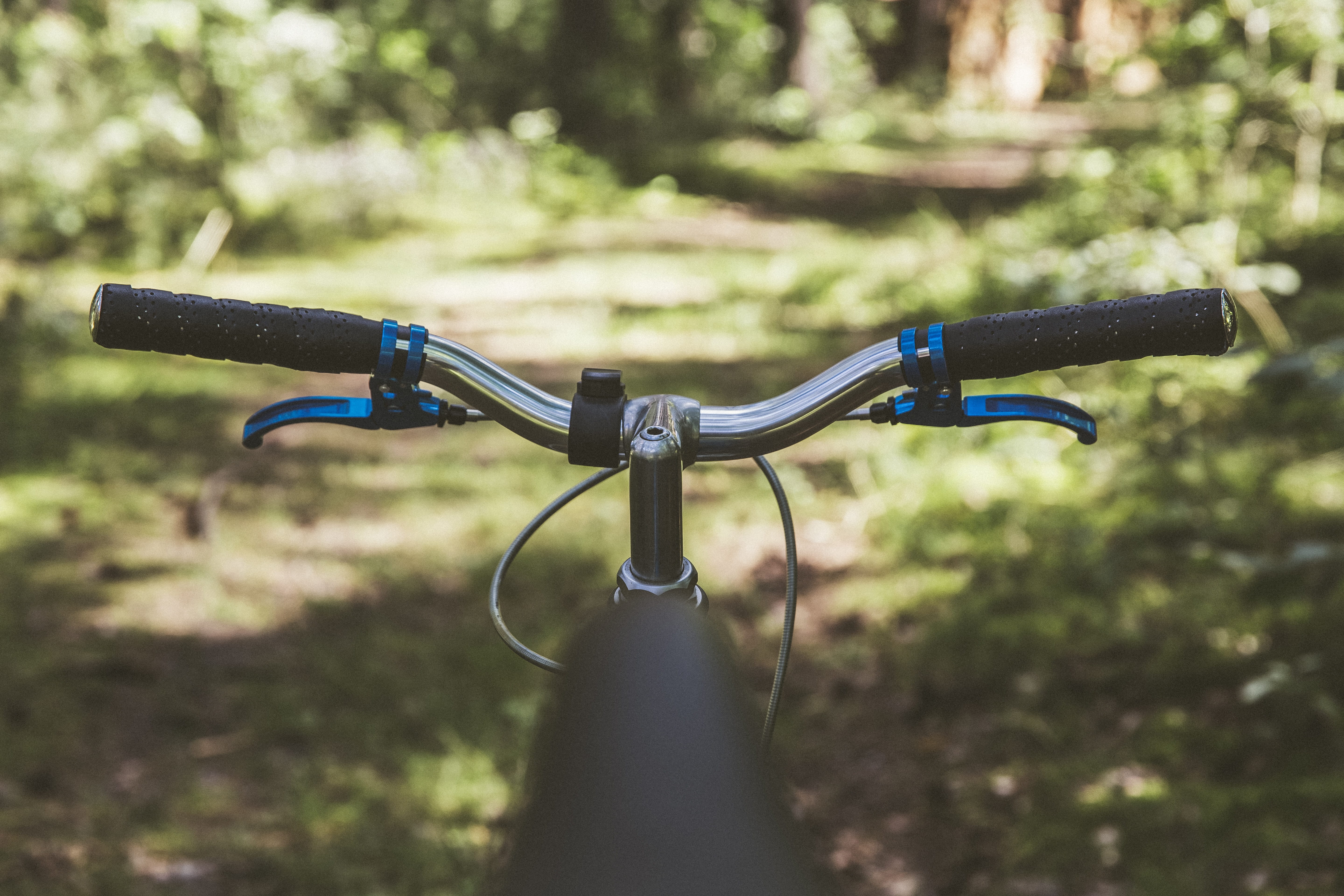 circuit, sport bike, steel frame, stylish, cycling, handlebars, brake levers, tree, fixie, cyclists, wheel, hipster, trend, brake, no people, road bike, HD Wallpaper