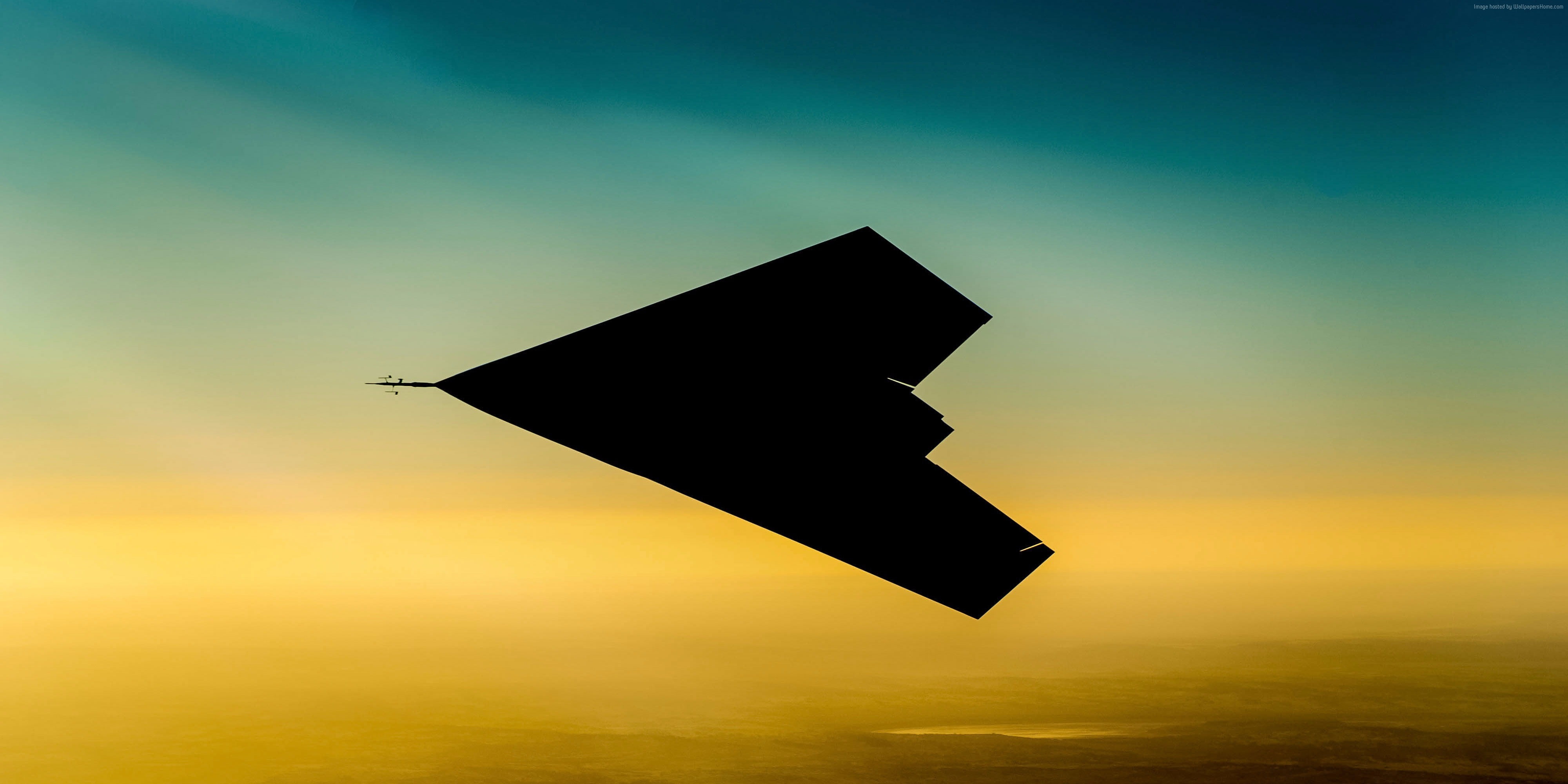copy space, silhouette, sky, animal themes, pollution, BAE Systems, UCAV, UAV, yellow, sunset, black color, flying, nature, Raptor, direction, orange color, HD Wallpaper