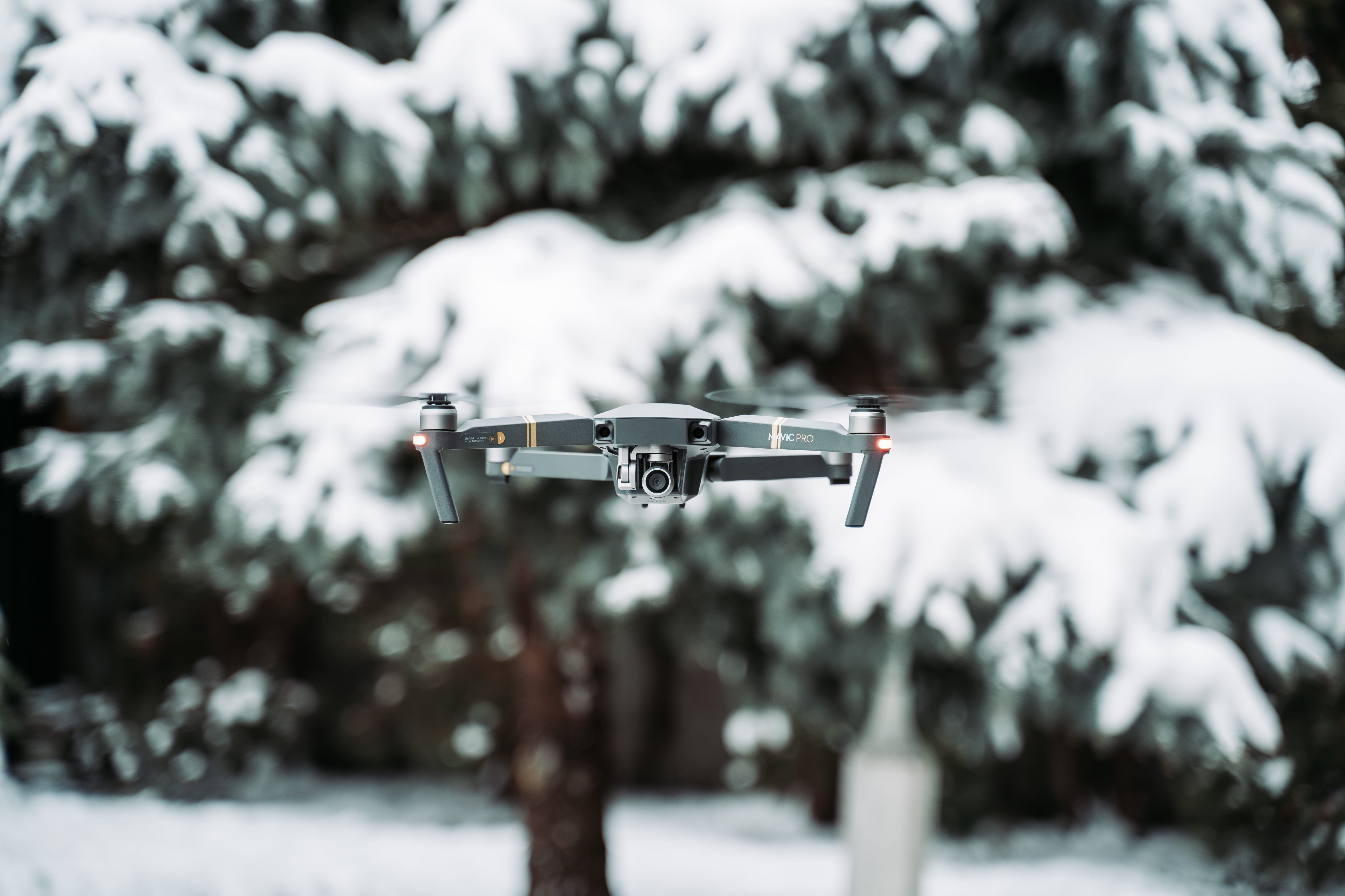 5K, selective focus, outdoors, protection, security, drone, pine, near, focus on foreground, dji, aircraft, flying, flight, gun, vehicle, finch, safety, HD Wallpaper