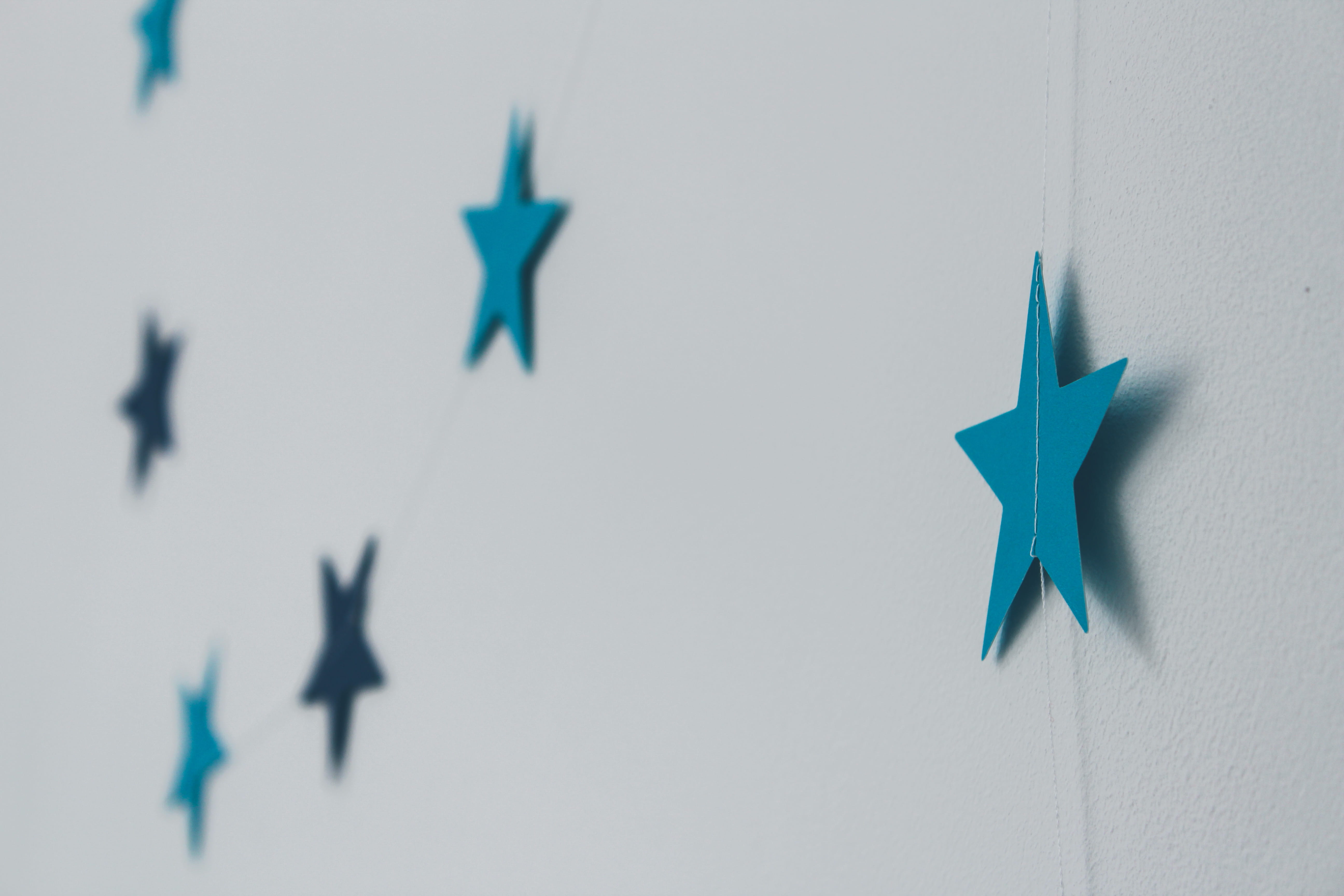 leisure activities, animal, flag, kite, star shape, wand, representation, aircraft, warplane, star symbol, flight, adventure, decors, studio shot, shape, HD Wallpaper