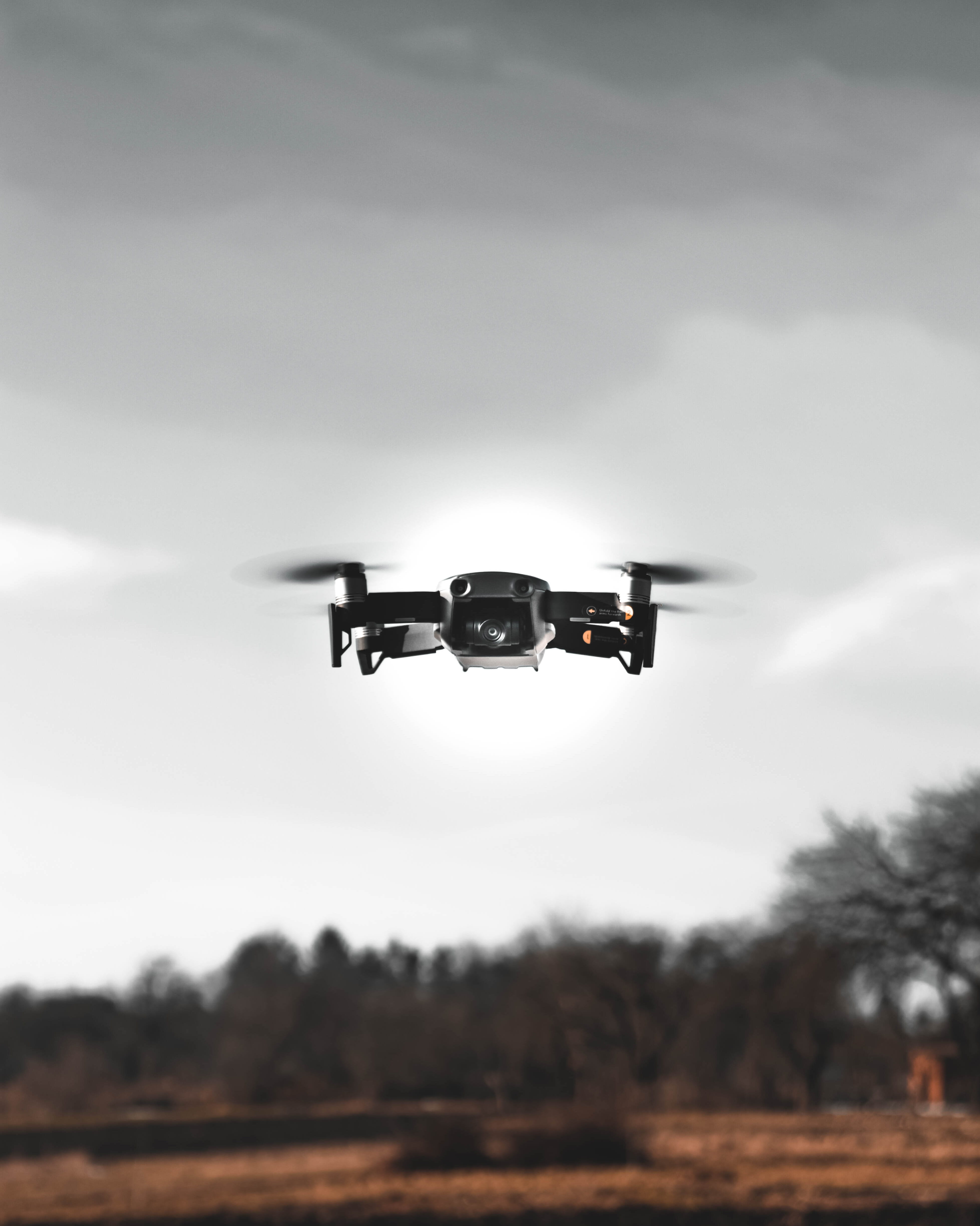 land, nature, black, transportation, warplane, kite bird, formula one, no people, overcast, air vehicle, focus on foreground, motion, drone, bird, low angle view, Phone HD Wallpaper