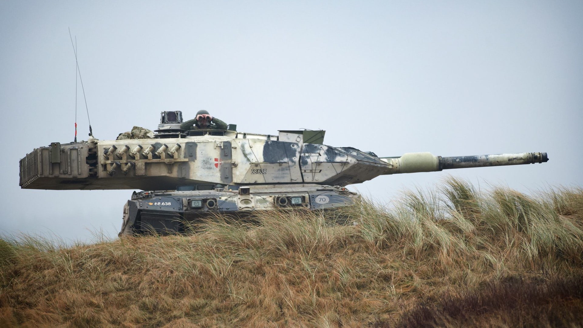 war, tank, cannon, navy, grass, day, outdoors, Leopard 2, conflict, fighting, clear sky, field, nature, government, Denmark, sky, armed forces, army, armored tank, HD Wallpaper
