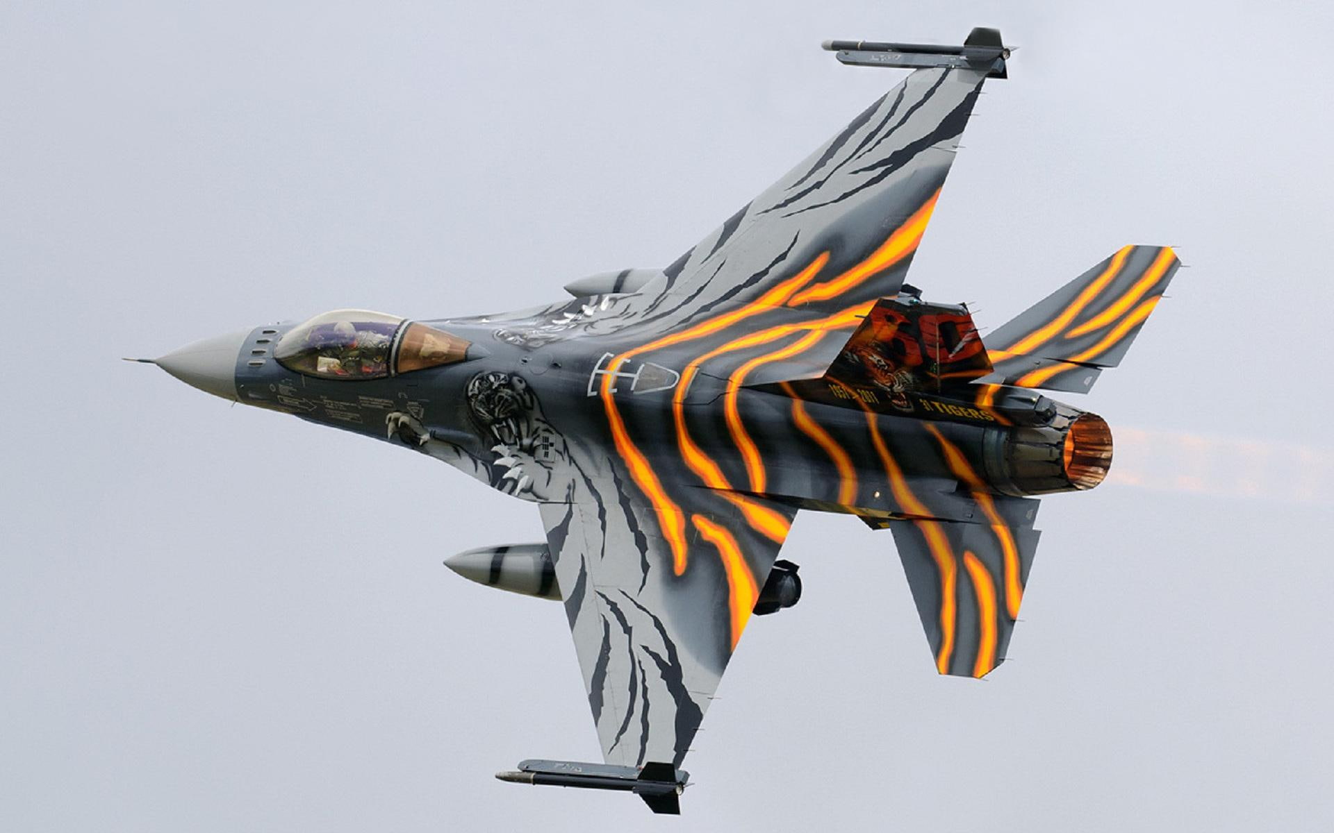 military, tiger, f, aircraft planes, paint job, plane, fighter, 1080P, falcon, HD Wallpaper