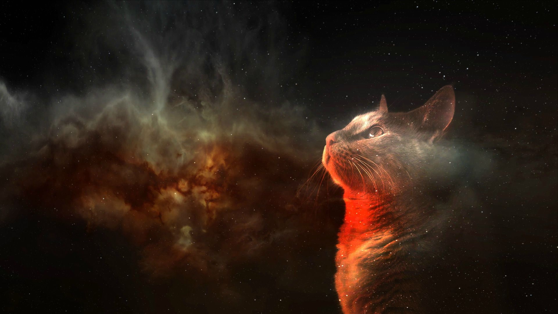 hd, art, minimalistic, cat, 1080P, digital, abstract, digital art, 1920x1080 px, animals, x, px, Space, HD Wallpaper