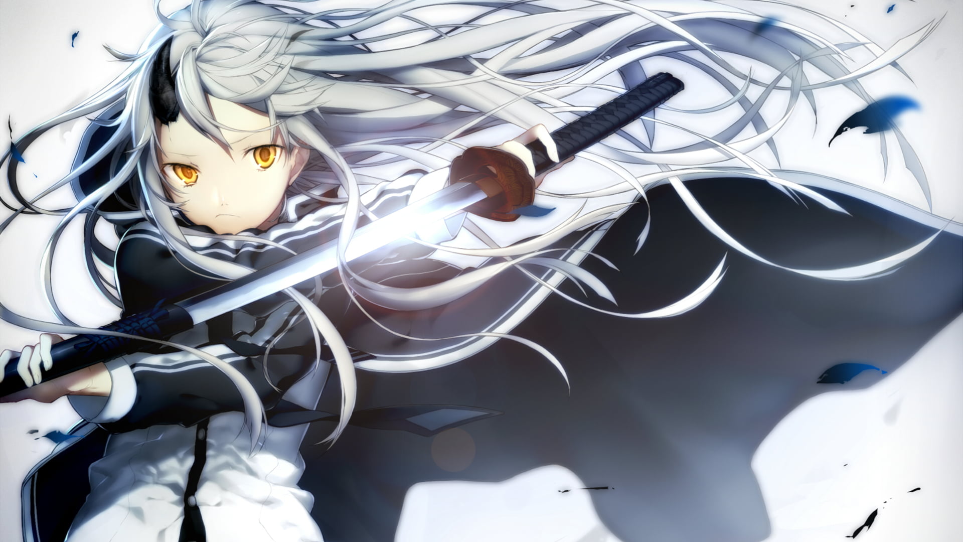 high angle view, sword, large group of objects, metal, white color, black, anime girls, full frame, day, no people, cable, female, tangled, choice, sunlight, HD Wallpaper