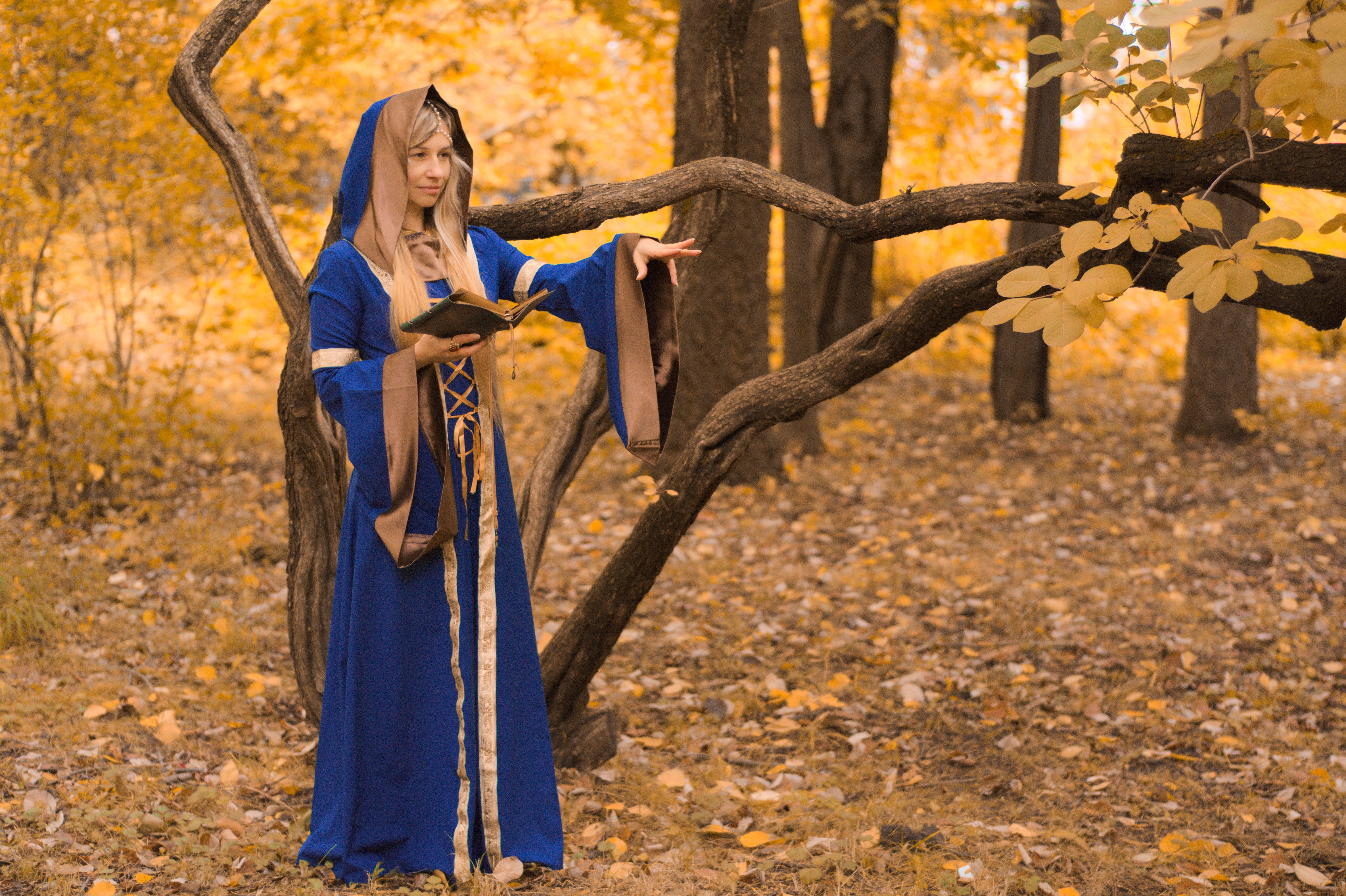 witch, hair, land, outdoors, forest, wizard, plant part, women, the middle ages, nature, clothing, young women, spell, hairstyle, cosplay, full length, HD Wallpaper