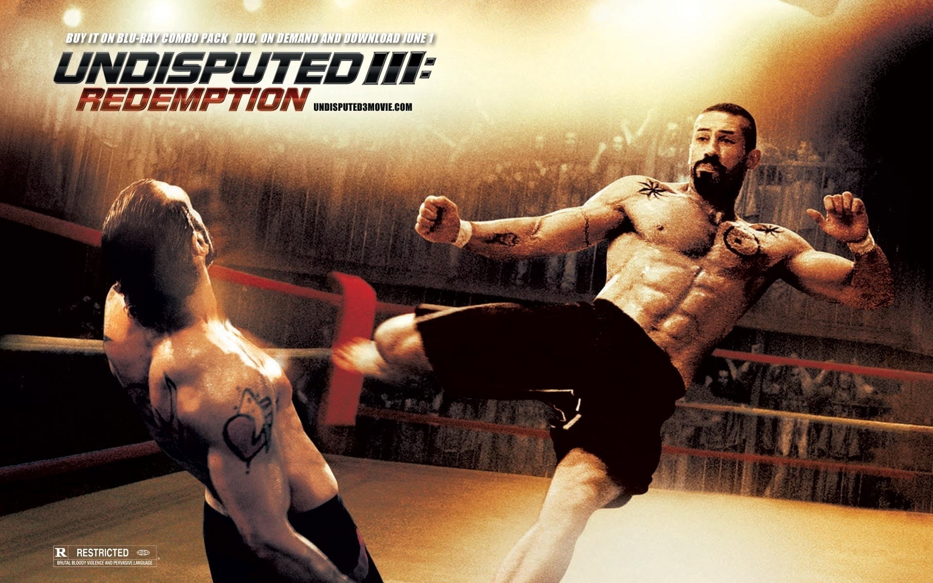 Undisputed 3, young Adult, motion, practicing, caucasian Ethnicity, healthy Lifestyle, athlete, Undisputed III, exercising, power, muscular Build, men, HD Wallpaper