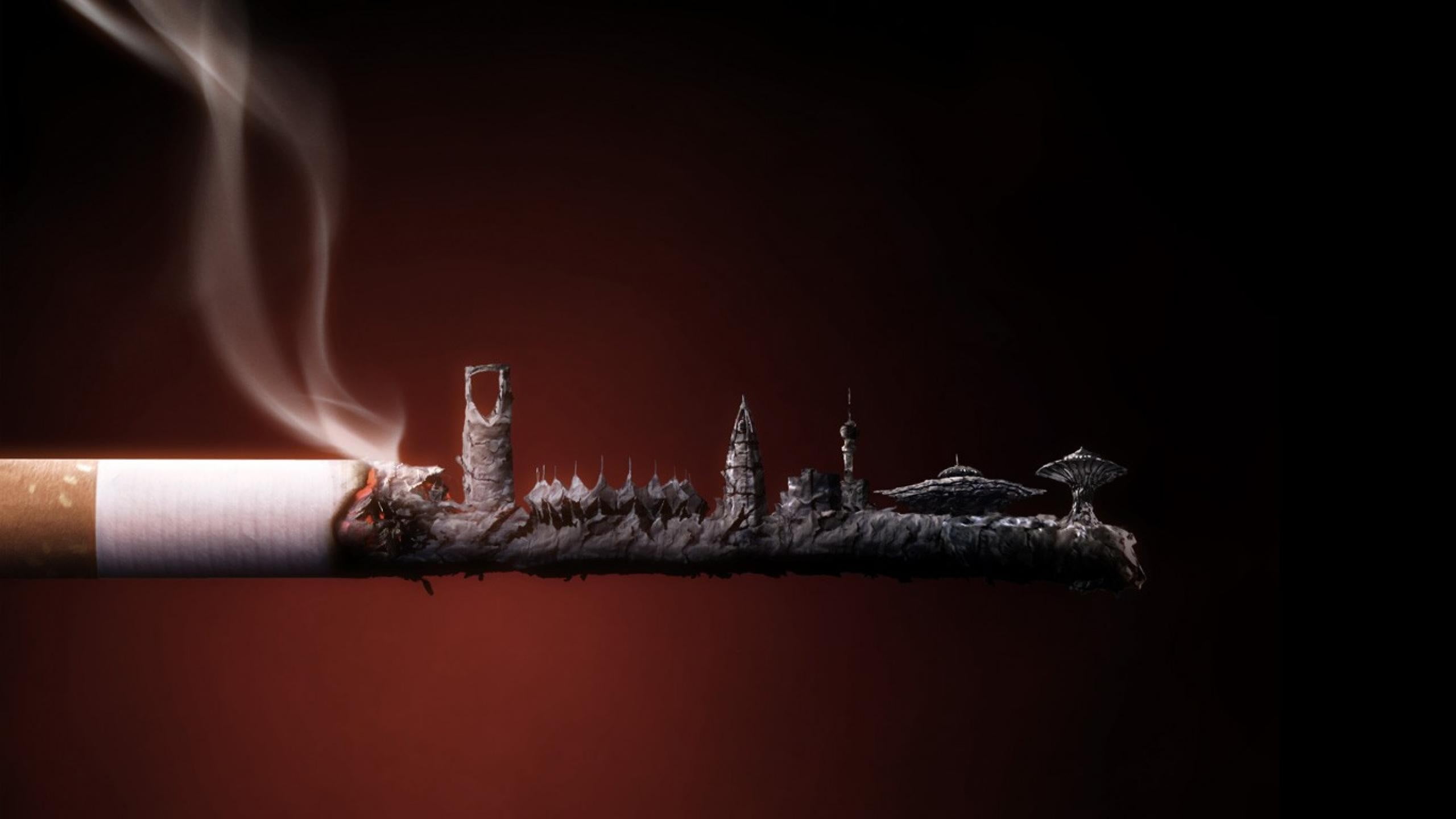 animal, smoke - physical structure, burnt, cigarettes, fire, animal wildlife, studio shot, copy space, close-up, indoors, warning sign, no people, sign, HD Wallpaper
