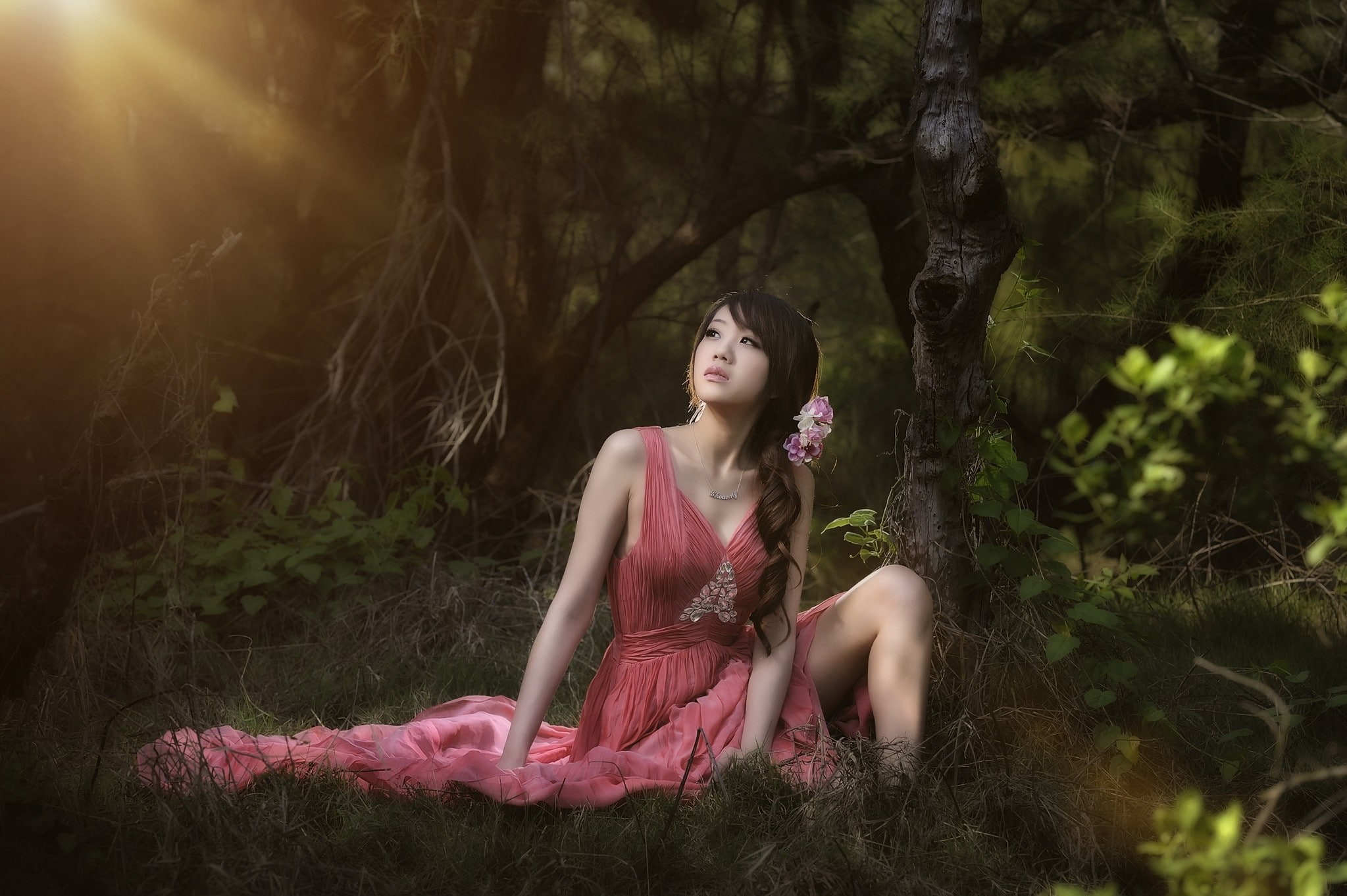 Asian, young adult, women, young women, brunette, clothing, fashion, beauty, tree, pigtails, real people, long hair, 1080P, looking, forest, red dress, HD Wallpaper