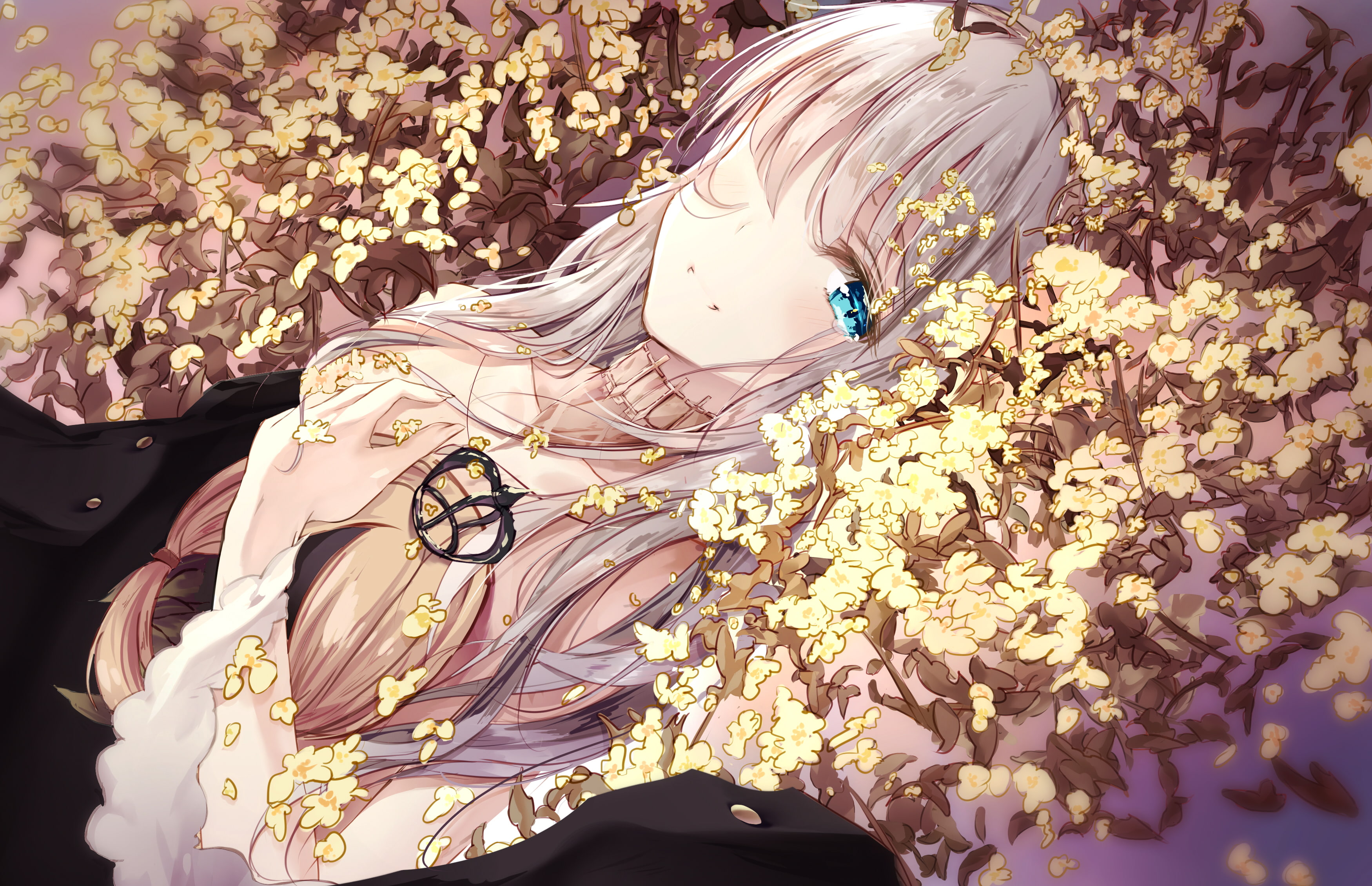 2K, Fate/Grand Order, anime girls, long hair, dress, lying on back, fallen heaven, blue eyes, white hair, anastasia (fate/grand order), looking at viewer, HD Wallpaper