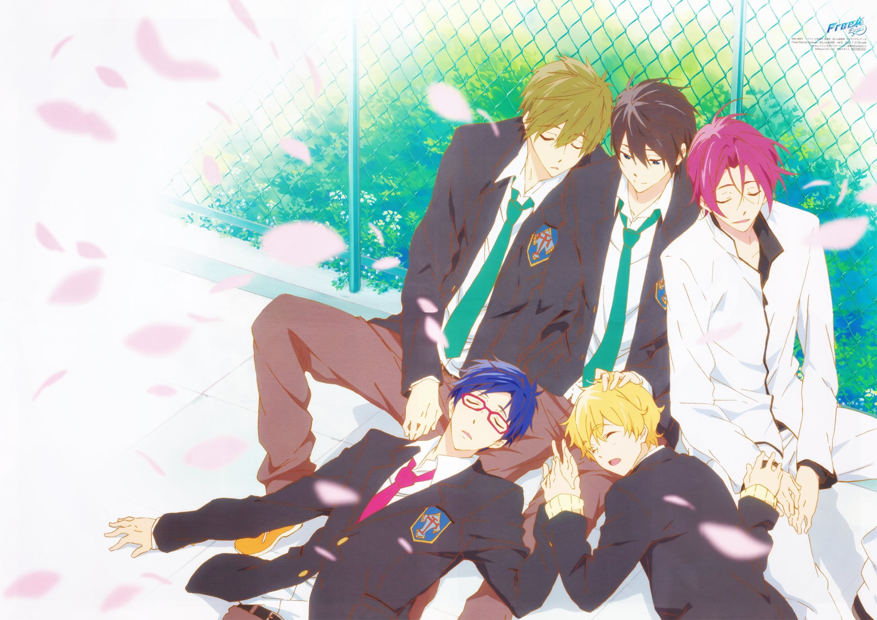 ryugazaki, free, rin, hazuki, tachibana, nagisa, rei, matsuoka, 2K, makoto, HD Wallpaper