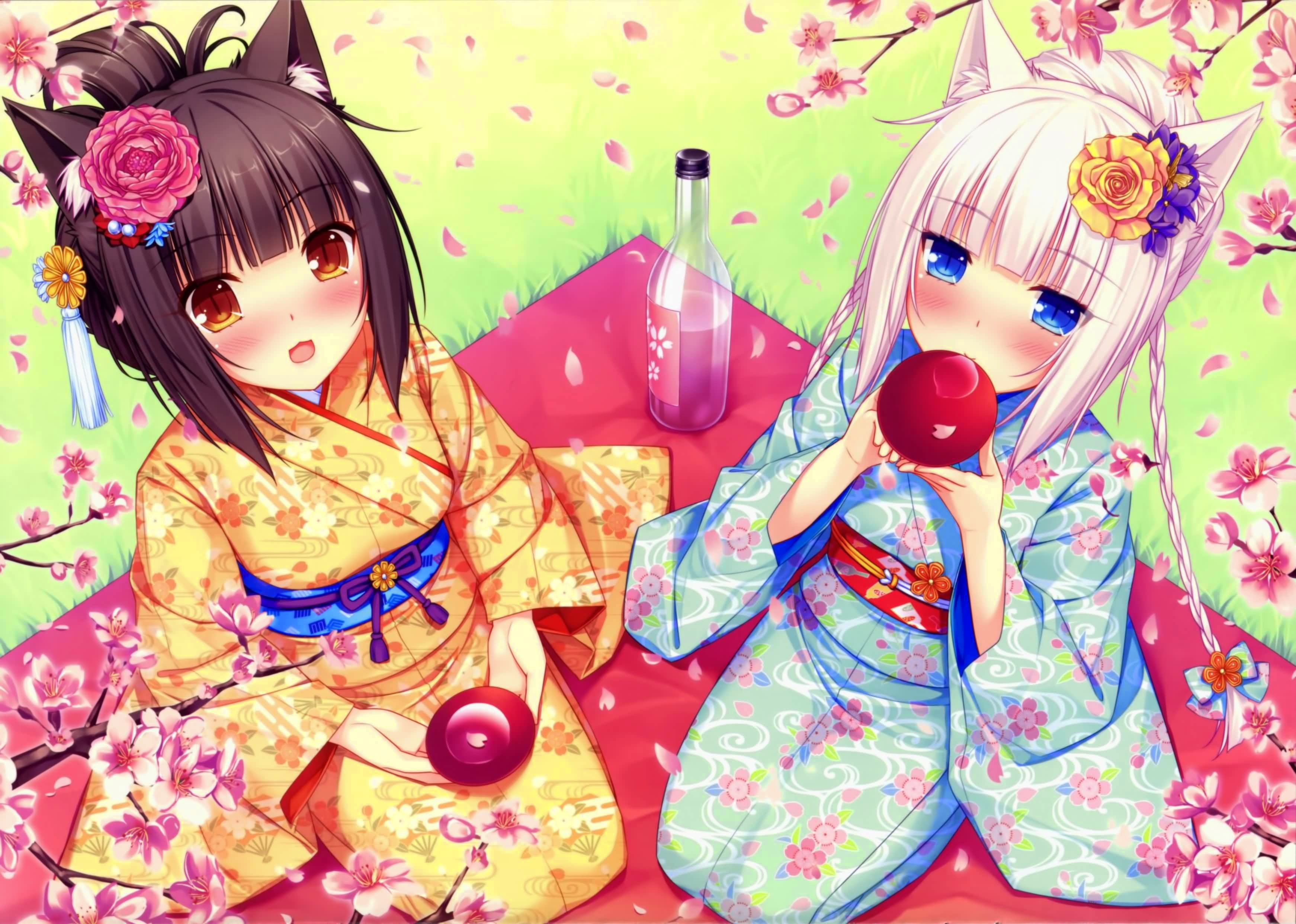 anime, real people, Neko Works, women, nekomimi, multi colored, floral pattern, pattern, day, anime girls, 2K, Neko Para, cat girl, childhood, Chocolat (Neko Para), HD Wallpaper