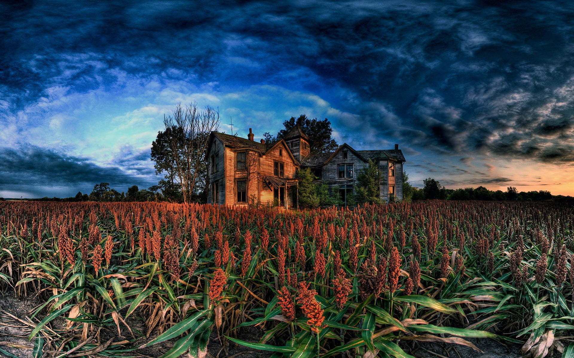 painting, growth, sky, cloud - sky, rural scene, landscape, near, outdoors, abandoned, HDR, brown, plant, the past, green, body, history, 1080P, nature, HD Wallpaper