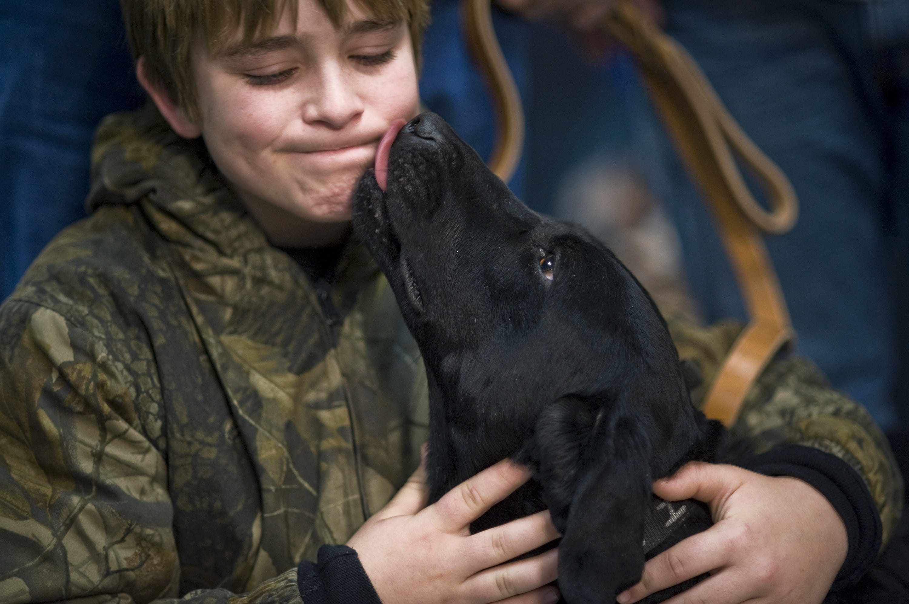 positive emotion, lab, labrador, love, sitting, one person, girl, kiss, one animal, holding, emotion, portrait, pet owner, 2K, care, pets, mammal, canine, HD Wallpaper