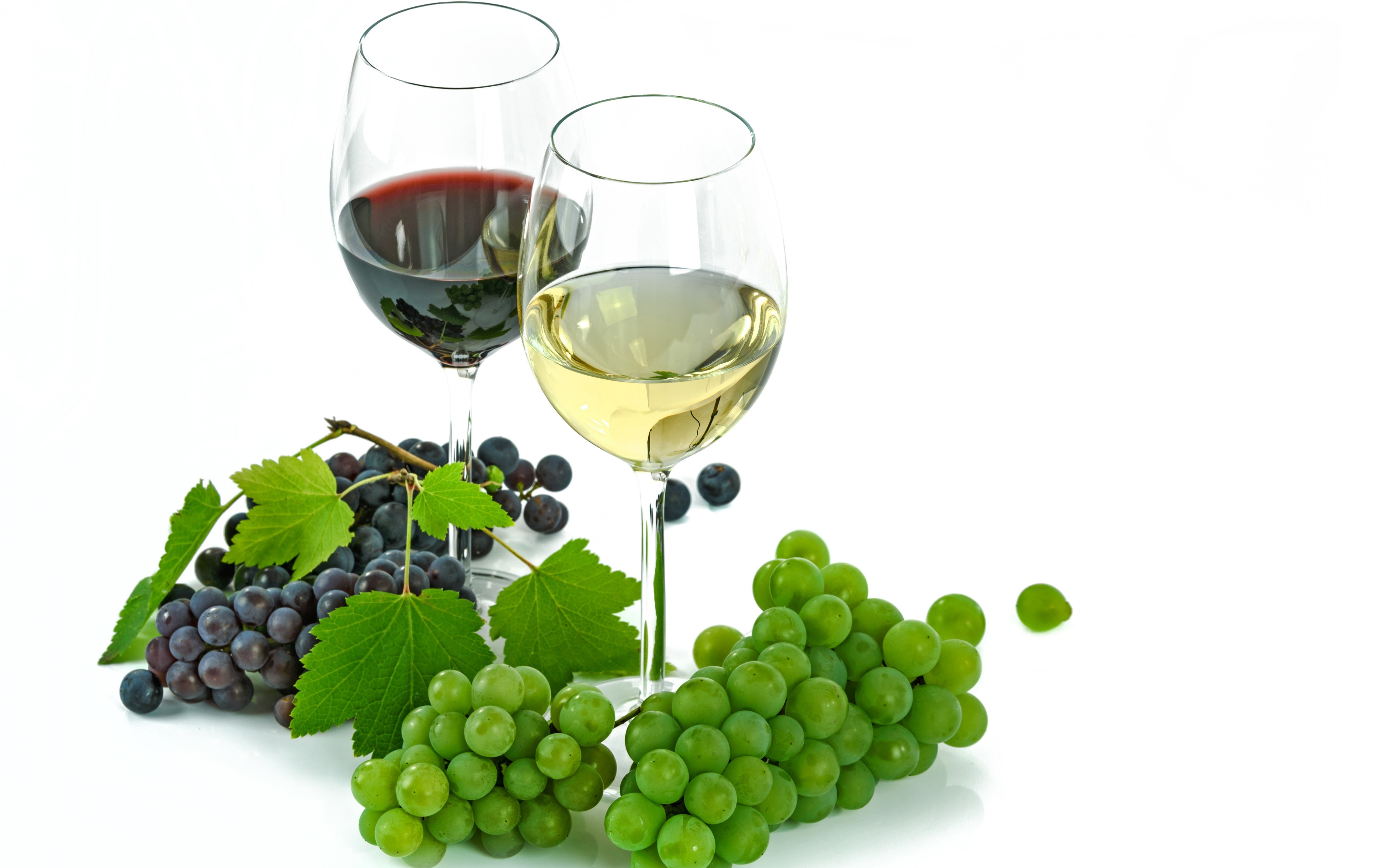 no people, refreshment, Celebrate, cabernet, alcohol, Fresh, healthy, freshness, White, Leaf, Grapes, grape, sauvignon, red wine, Wine, one, France, glassofwine, HD Wallpaper