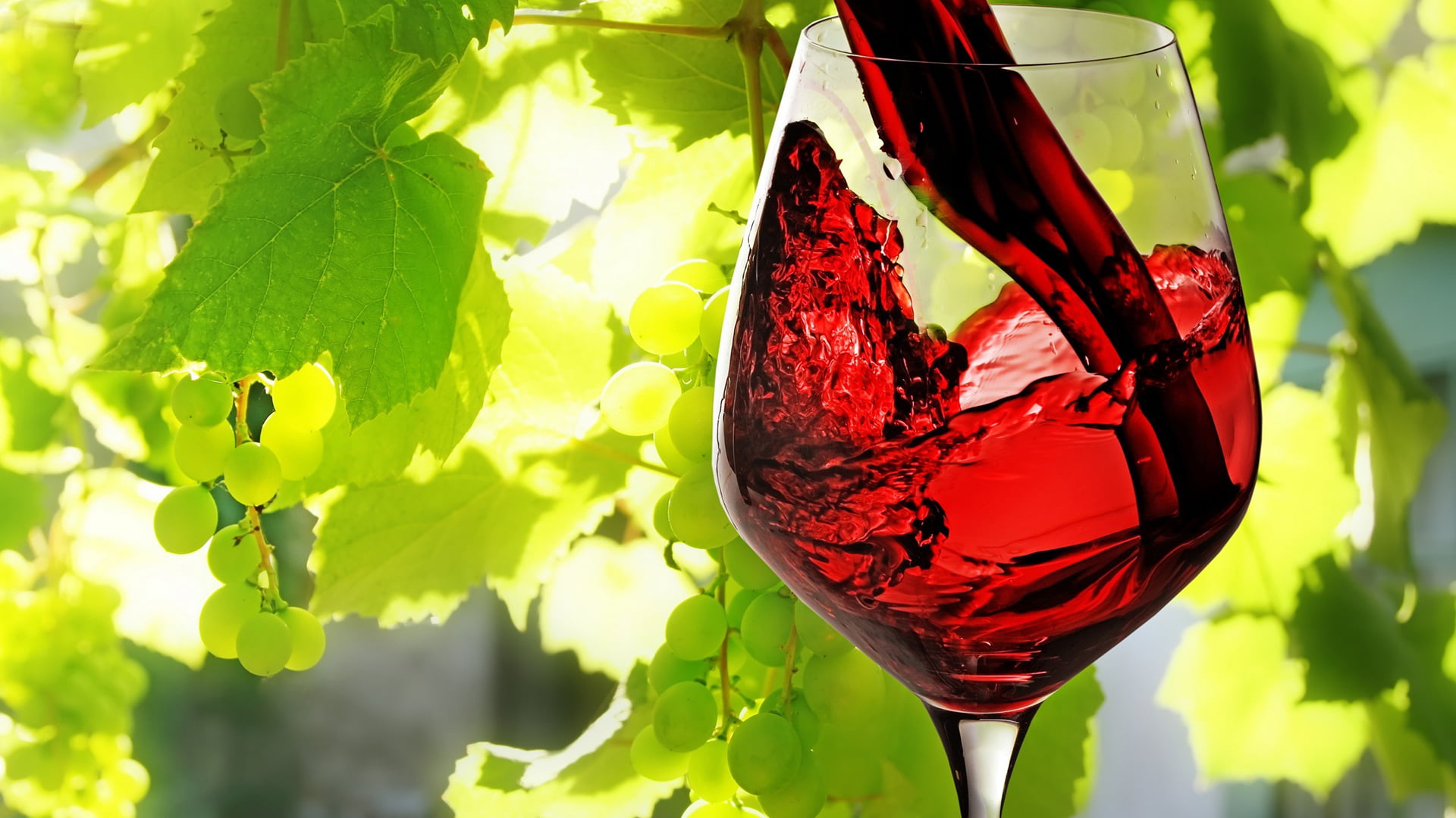 romantic, close-up, luxury, wine, plant part, elegant, plant, bottle, focus on foreground, wineglass, liquid, vine, still, drink, no people, party, celebration, HD Wallpaper