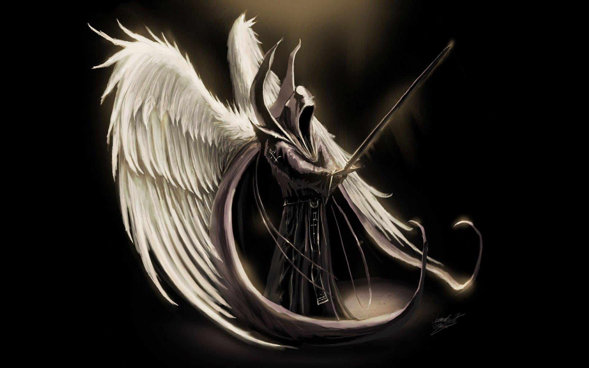 weapons, abstract, angel, 1080P, one animal, studio shot, black Background, wings, artificial Wing, metal, no people, black Color, indoors, flying, bird, HD Wallpaper