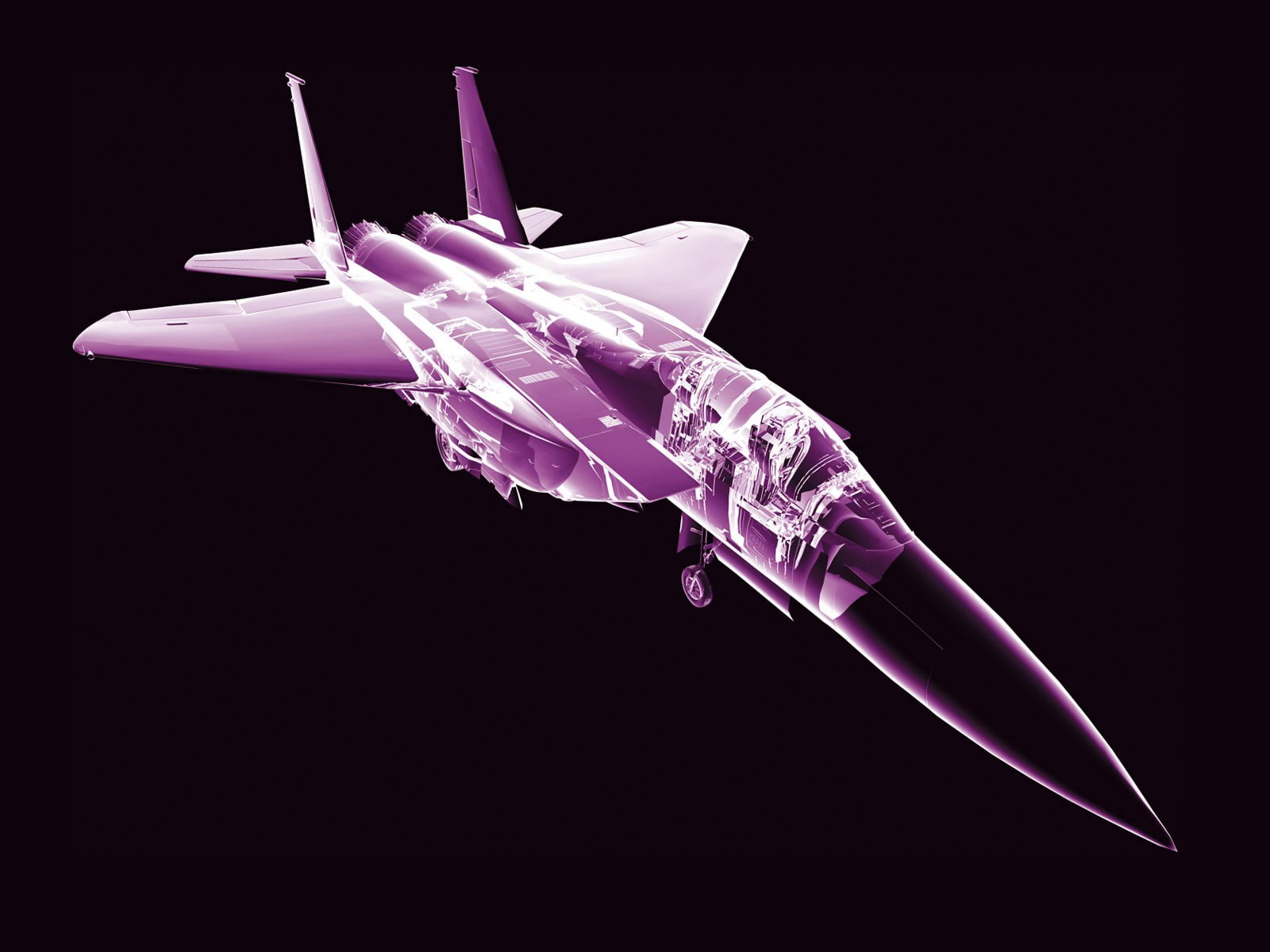indoors, reflection, purple, single object, motion, animal, no people, studio shot, cut out, machinery, representation, animal wing, artistic, close-up, HD Wallpaper