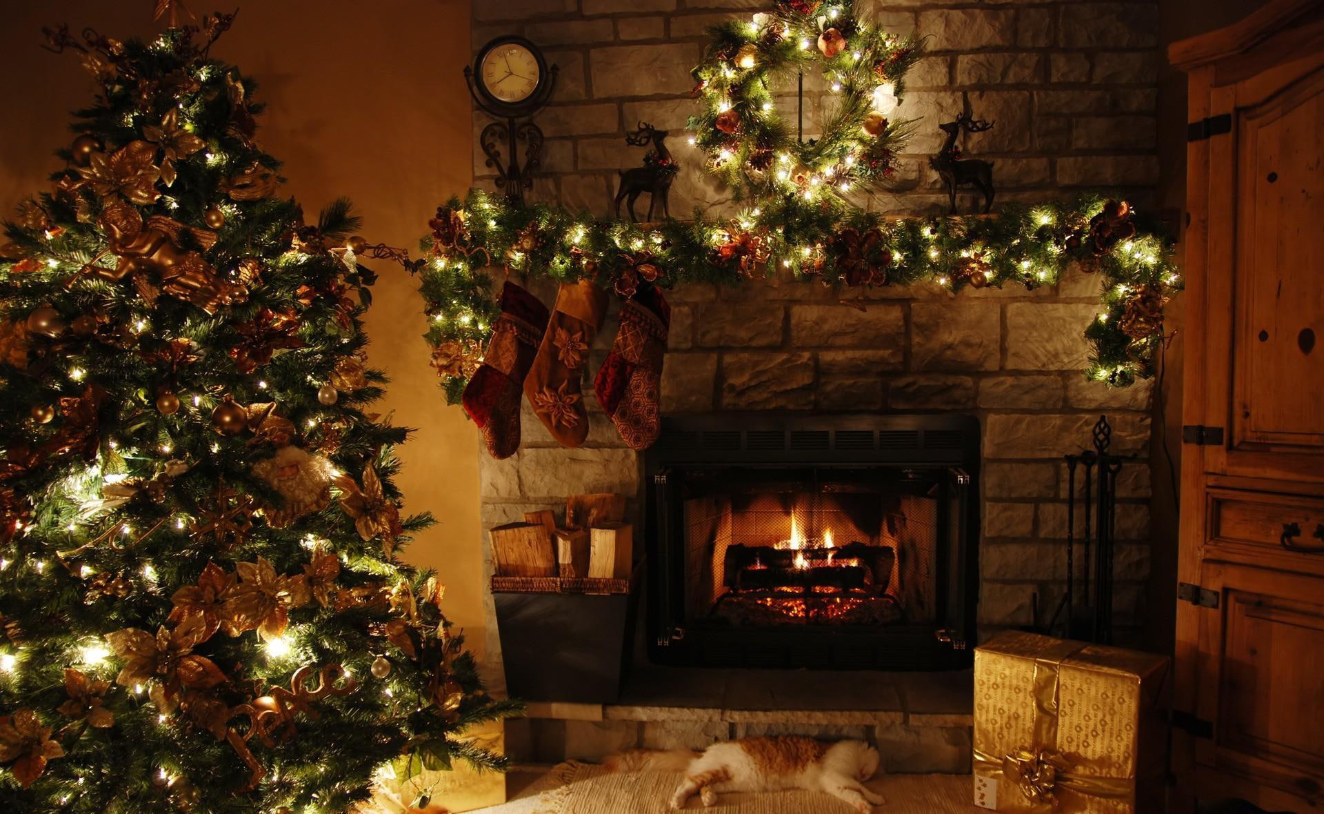 cat, holiday, christmas, 1080P, garland, fire, gifts, fireplace, tree, HD Wallpaper