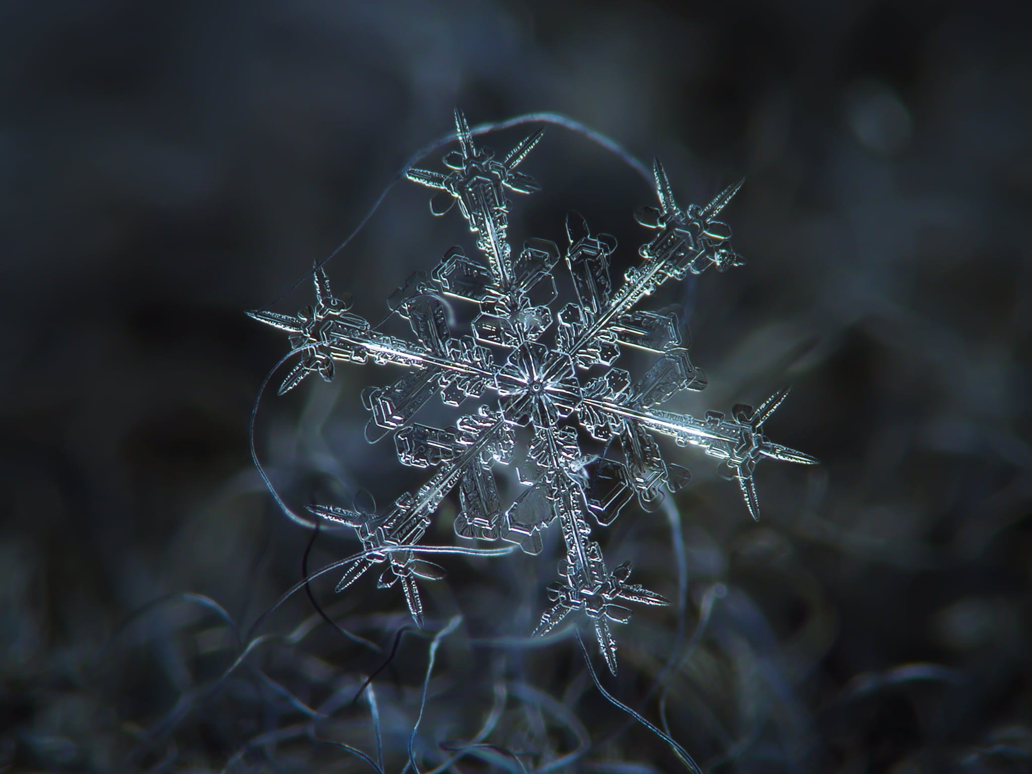 macro, photography, christmas, 1080P, nature, snowflake, backgrounds, winter, macro photography, HD Wallpaper