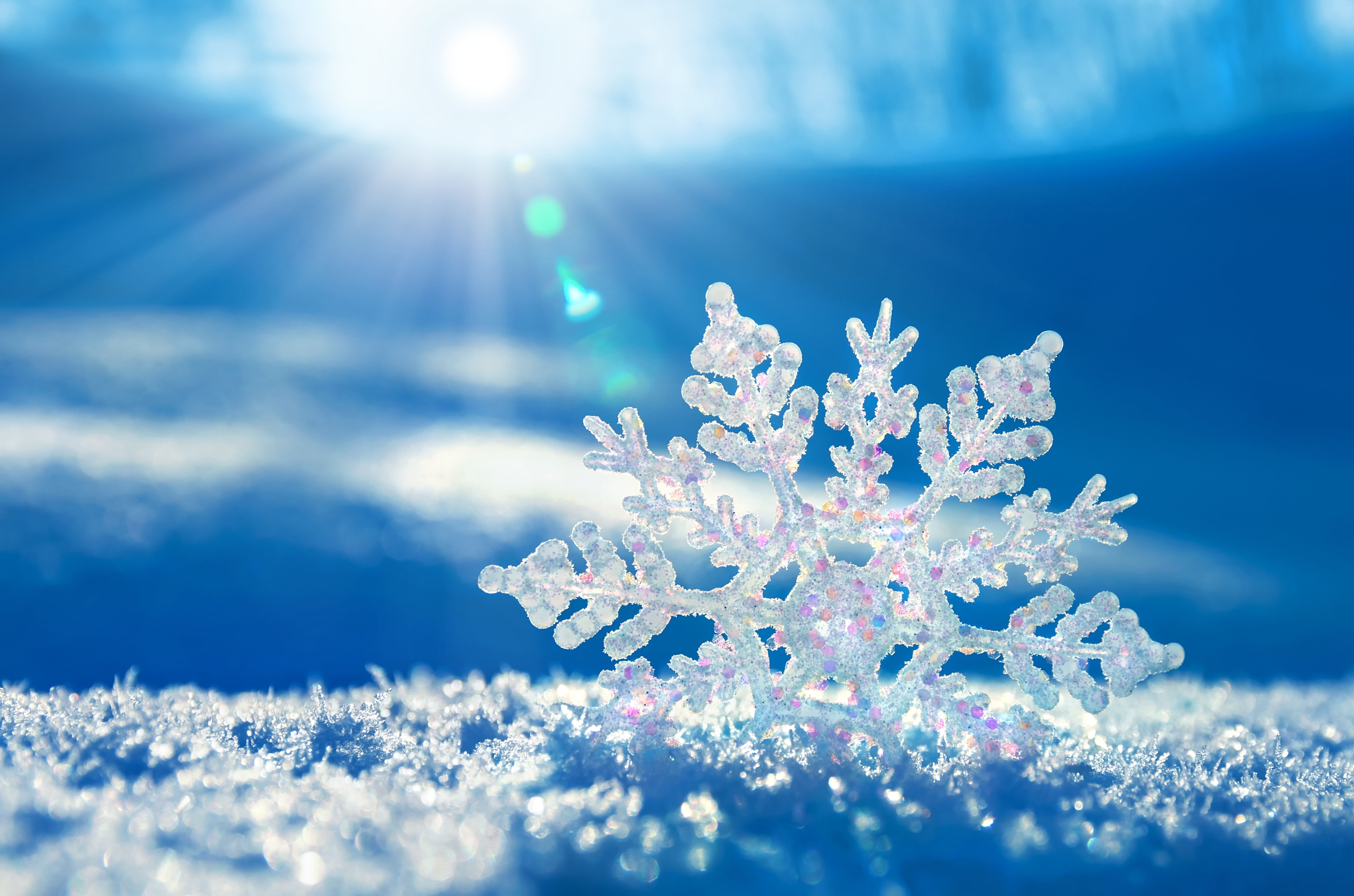 outdoors, bright, blue, snowflake, christmas, sky, close-up, snow, cold temperature, plant, holiday, christmas Decoration, cold - Temperature, 4K, sunlight, HD Wallpaper