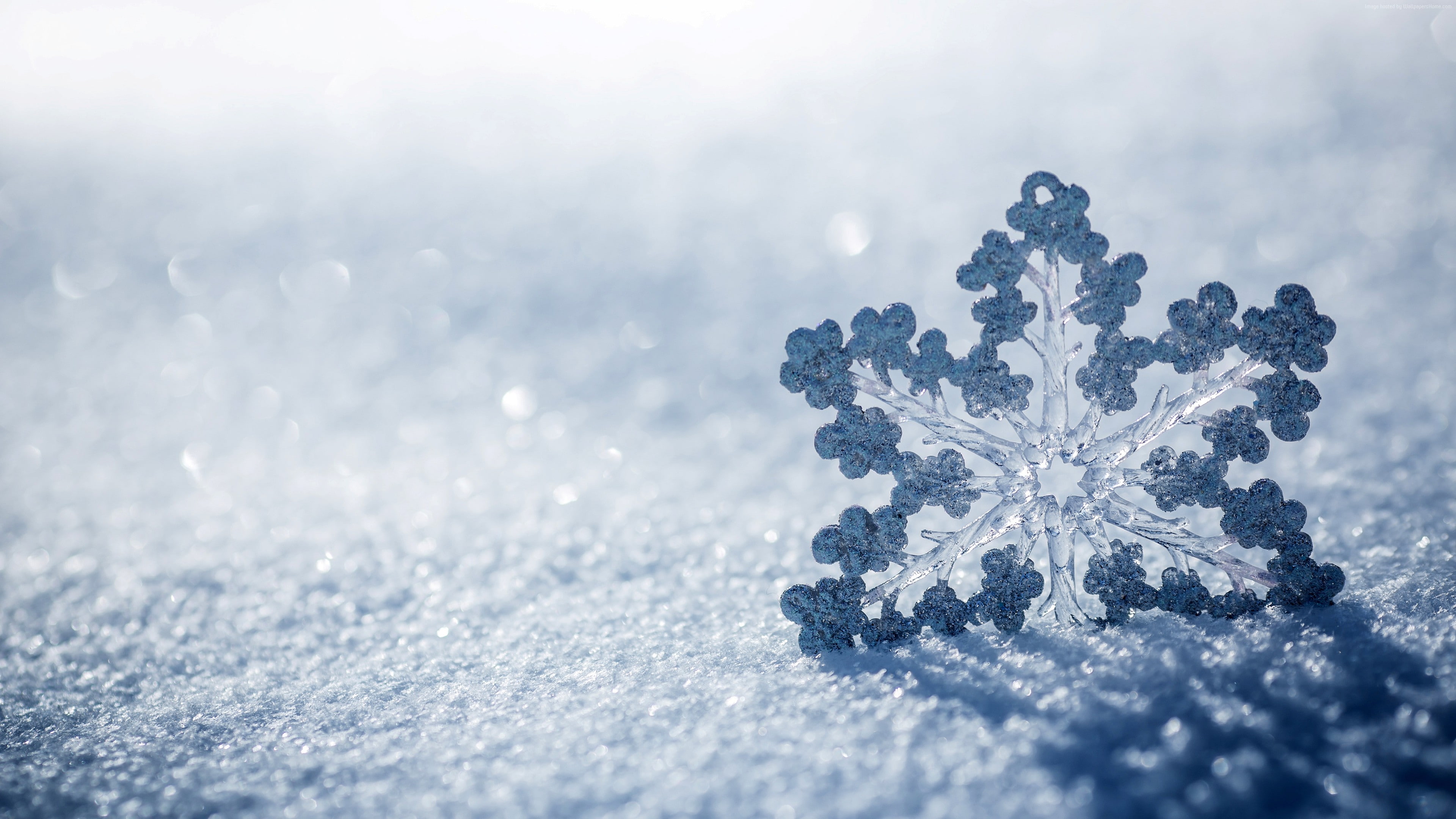 4K, snow, 4K, winter, snowflake, HD Wallpaper
