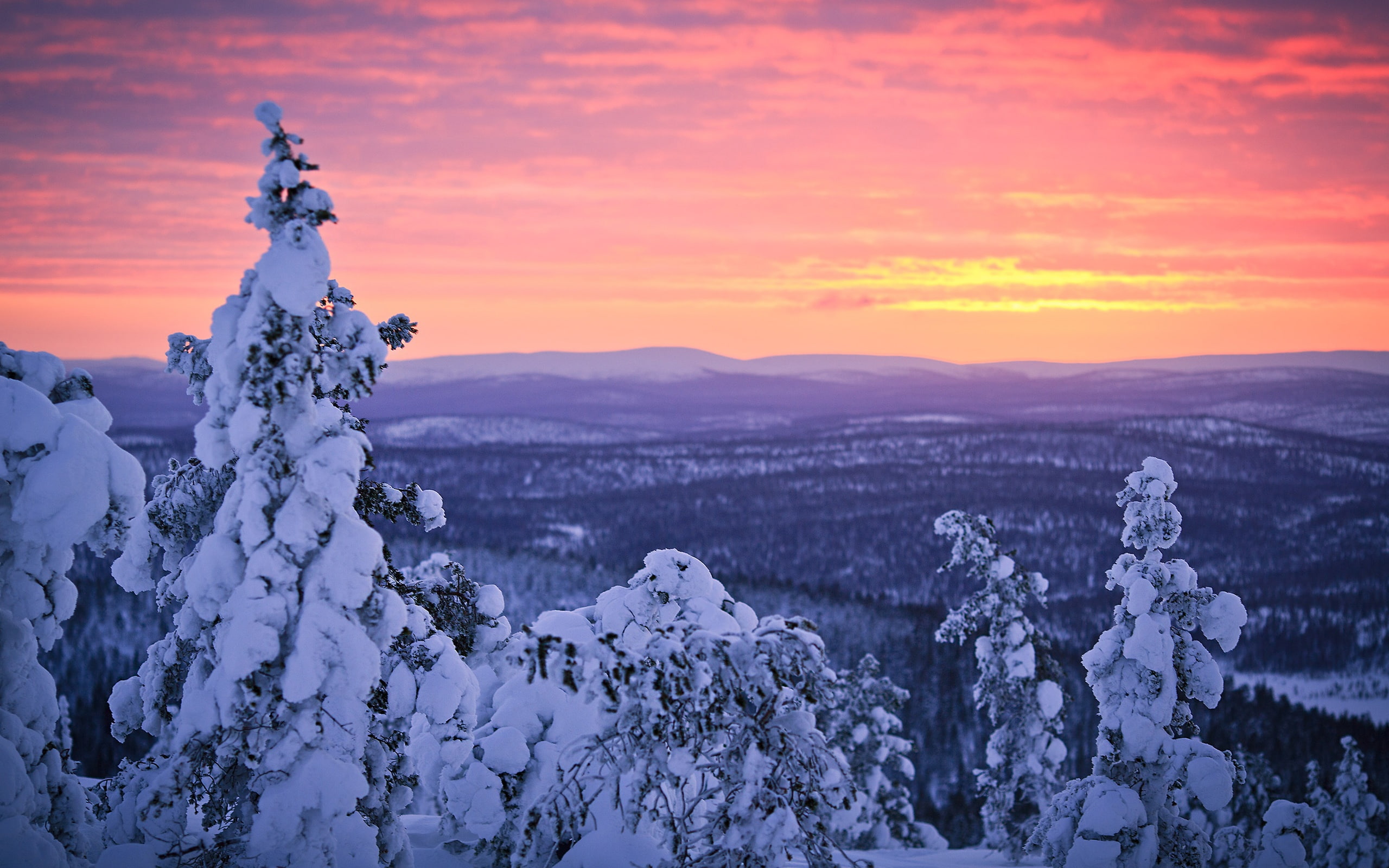 Finland, Lapland, Winter, Snow, Sky, 2K, Forest, Sunset, HD Wallpaper