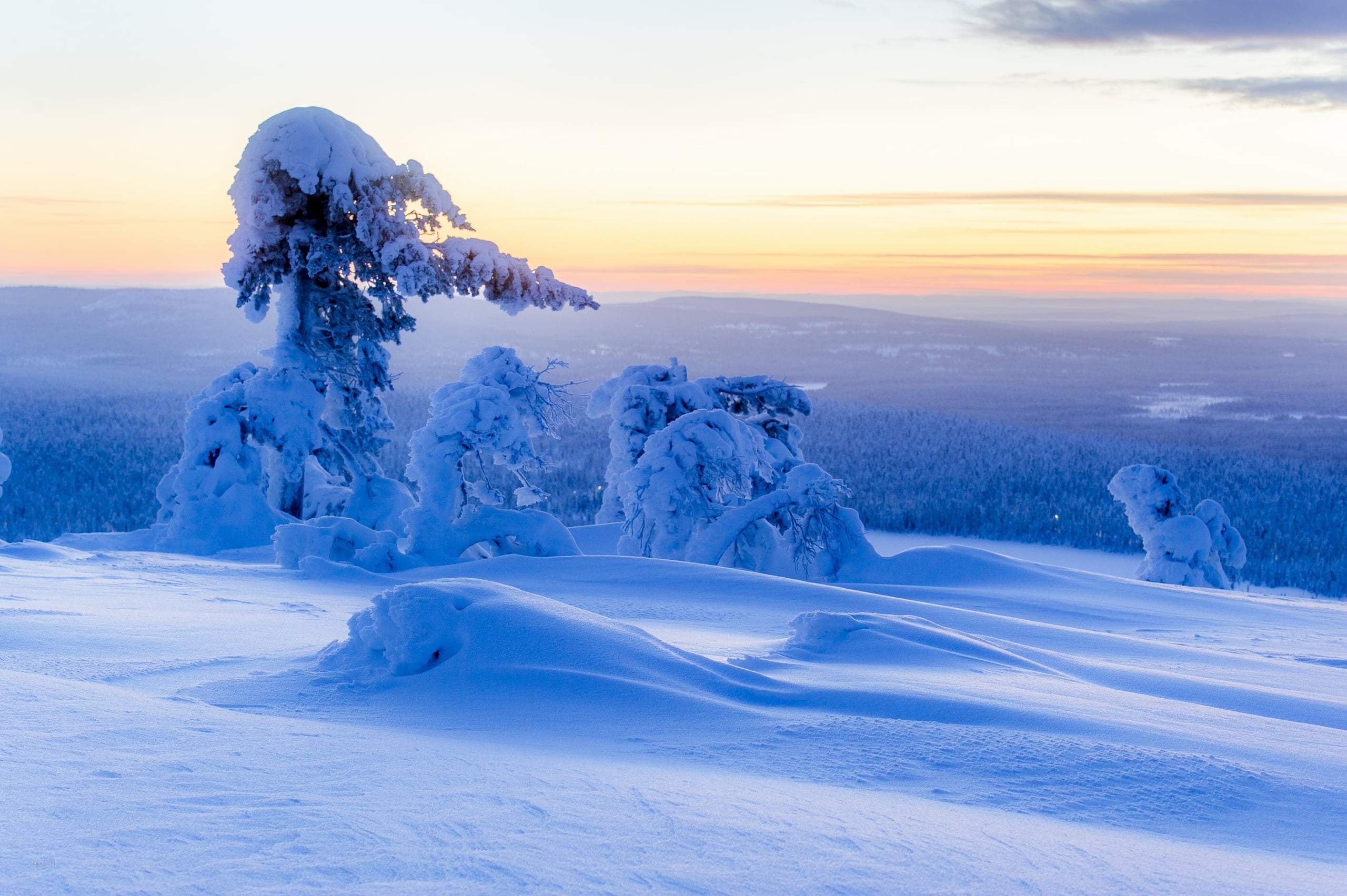 sky, panorama, Lapland, landscape, Ylläs, environment, cloud - sky, sunset, tranquility, scenics - nature, white color, the snow, trees, beauty in nature, HD Wallpaper