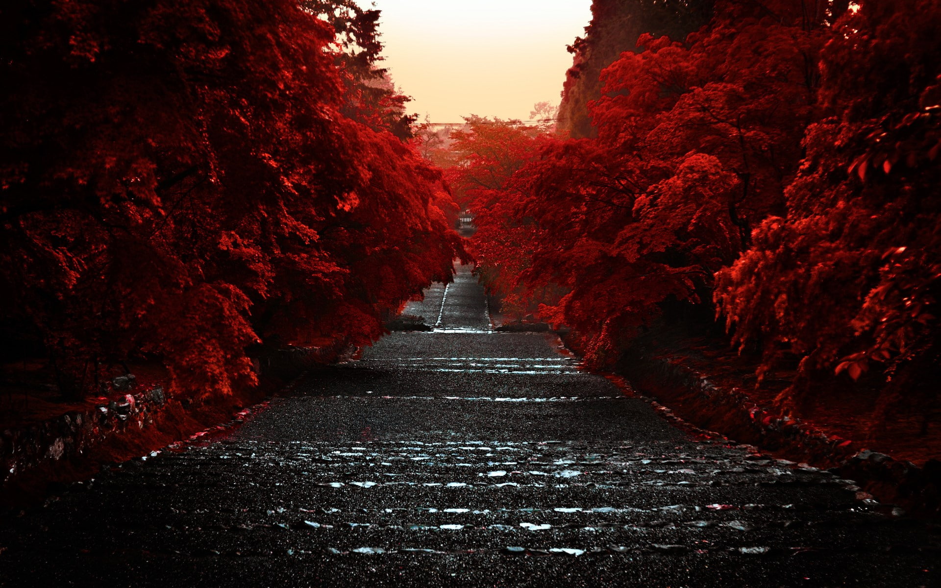 diminishing perspective, no people, day, architecture, road, change, outdoors, red, built structure, footpath, nature, plant, sky, vanishing point, 1080P, HD Wallpaper