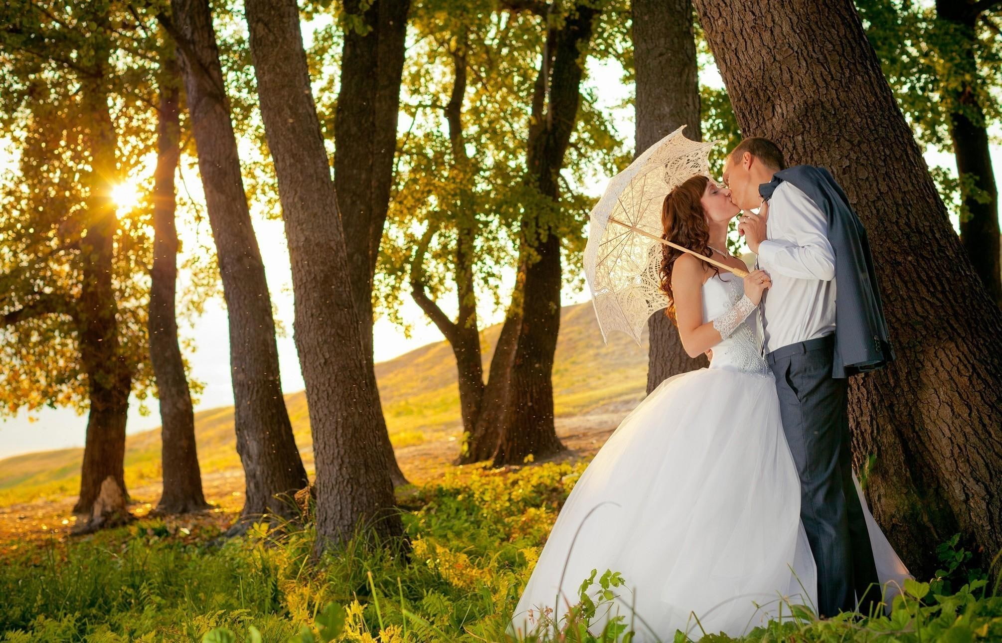 romantic, couple, romance, sunlight, 1080P, photography, tree, trees, beautiful, wedding, nature, umbrella, love, woman, HD Wallpaper
