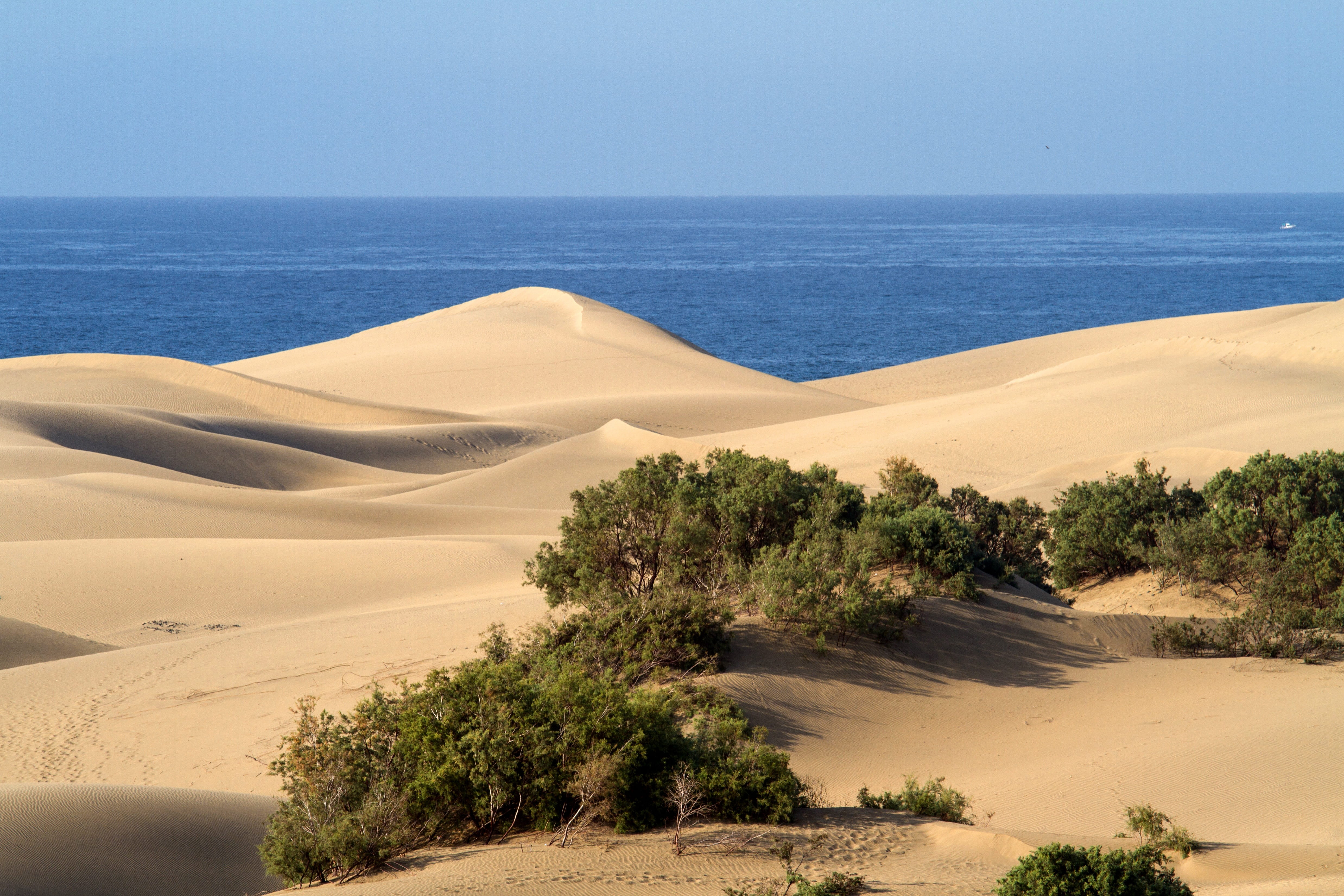 no people, scenics, beach, landscape, outdoors, sky, sand dune, 4K, tranquil scene, day, semi-arid, nature, Maspalomas, beauty in nature, scenics - nature, HD Wallpaper