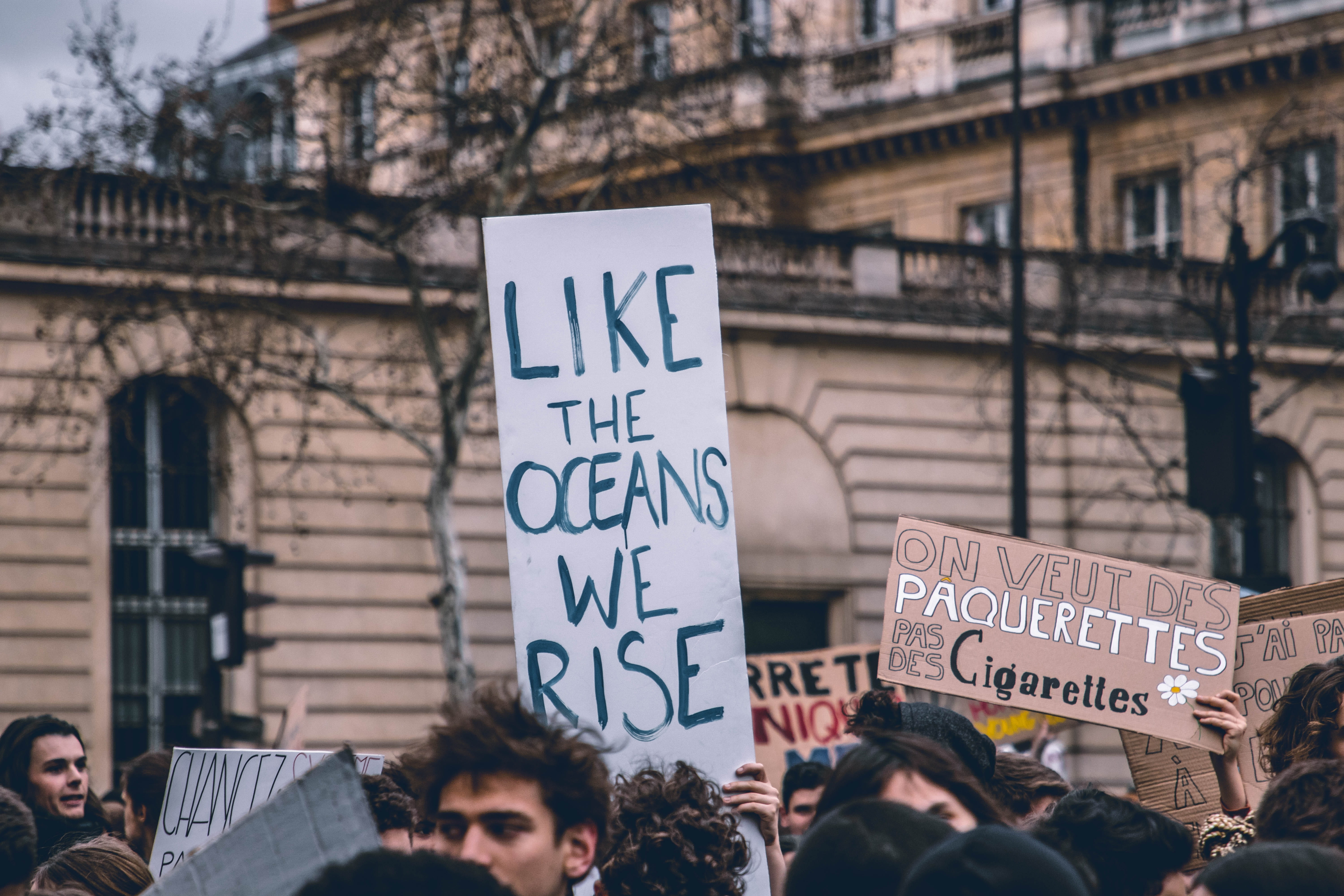 social issues, message, building exterior, climate, communication, crowd, placard, anger, group of people, western script, 5K, city, protest, protestor, HD Wallpaper