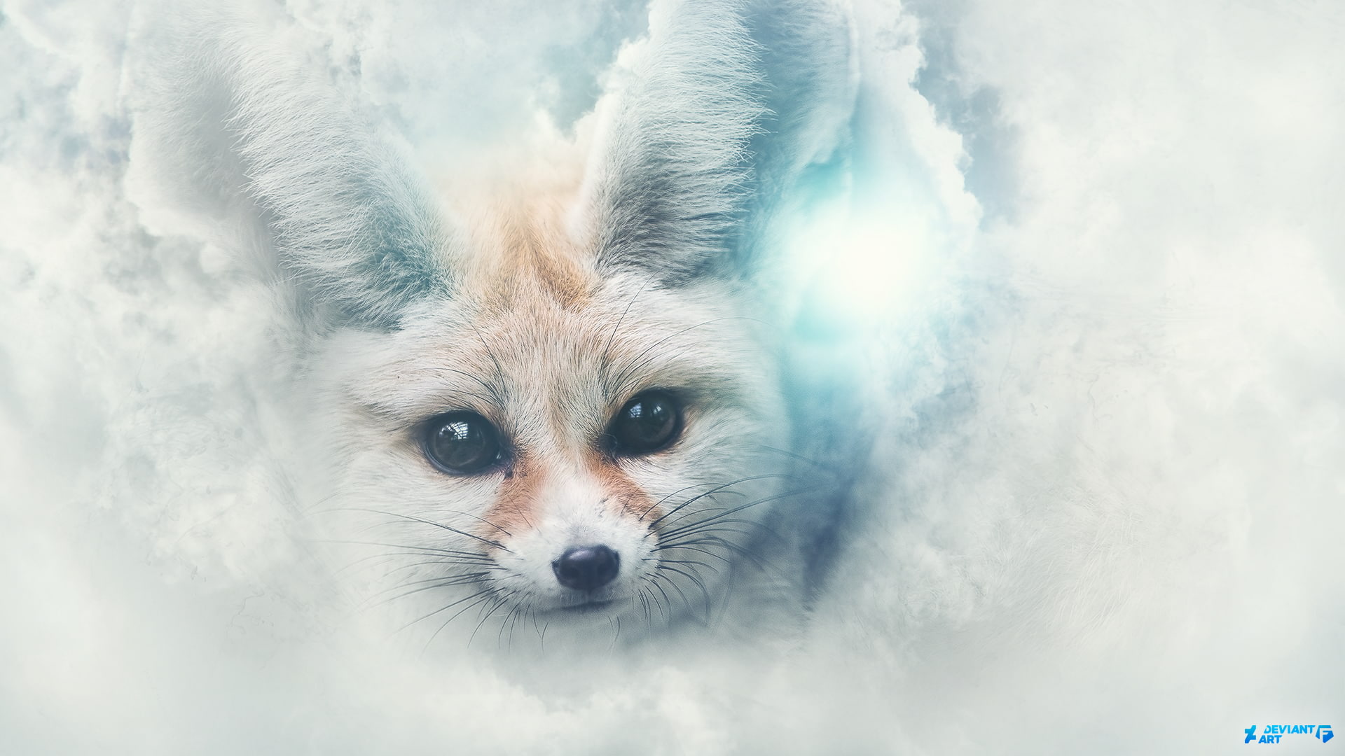 looking, dog, canine, domestic animals, domestic, nature, vertebrate, DeviantArt, animal body part, fennec, looking at camera, one animal, no people, digital composite, HD Wallpaper