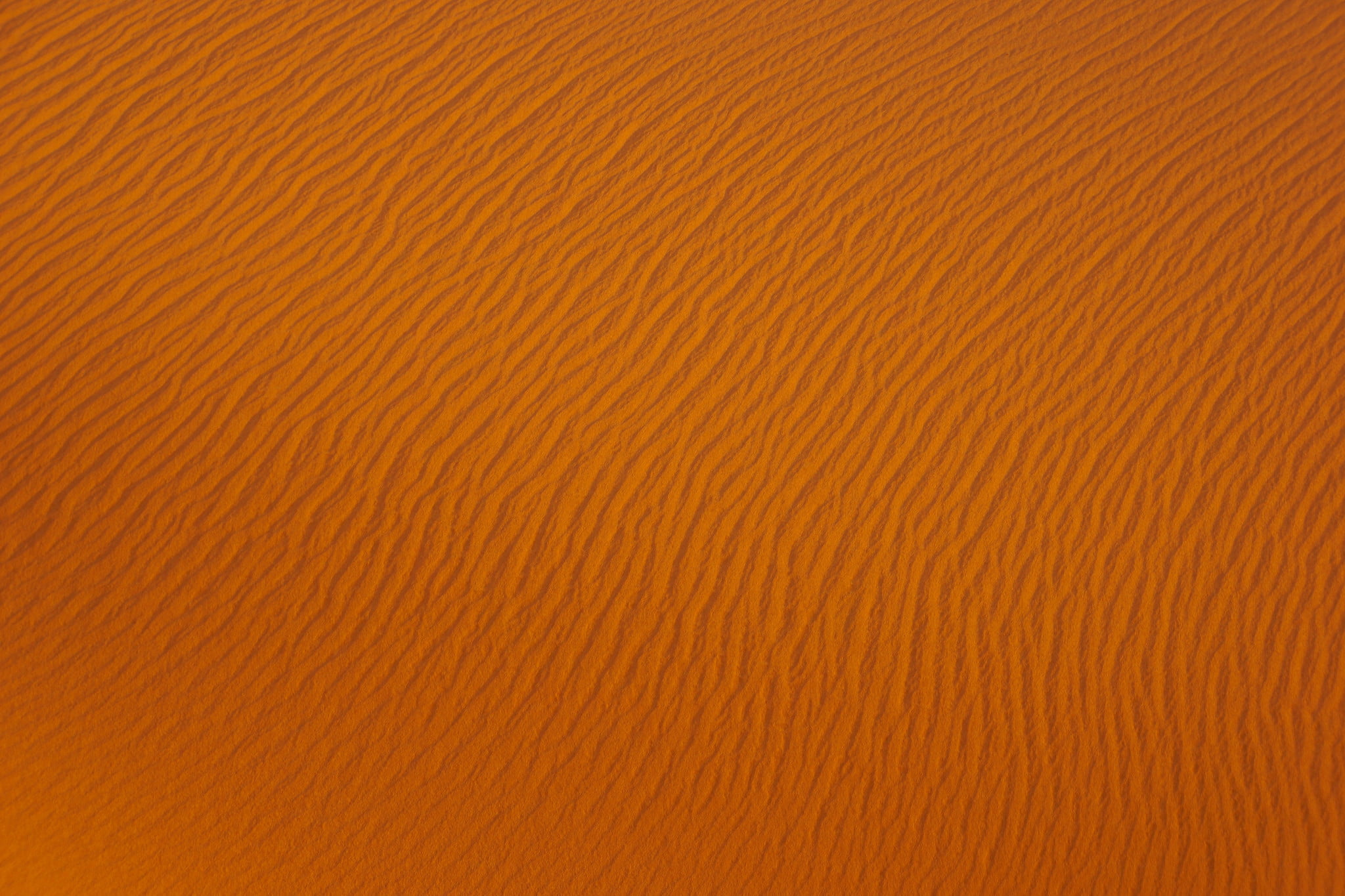 beauty in nature, yellow, wood, arid climate, copy space, material, dunes, outdoors, background, textured, textured Effect, backdrop, sand Dune, animal, HD Wallpaper