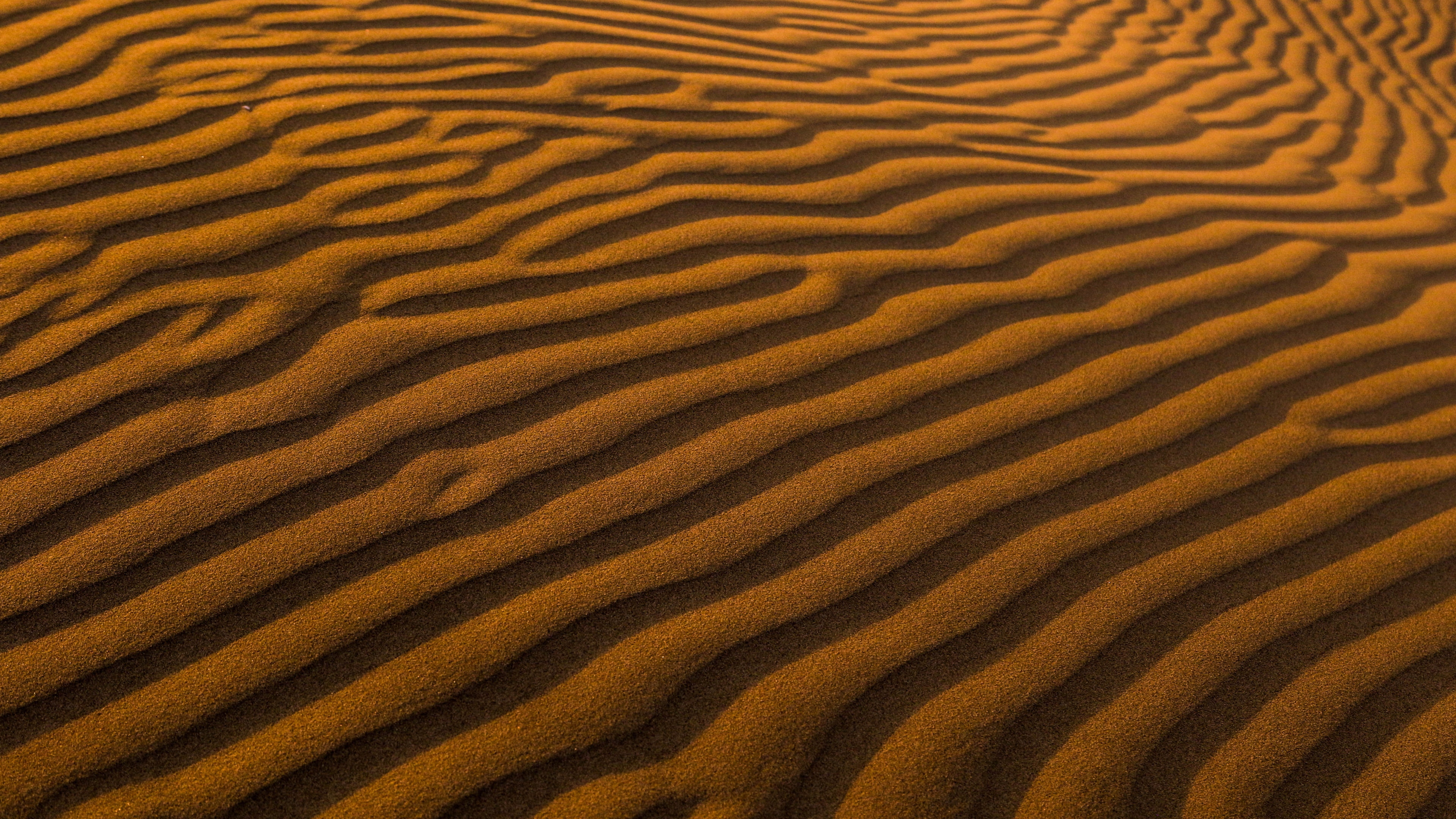 scenics - nature, landscape, structure, photography, sand dune, desert, texture, land, backgrounds, beauty in nature, dune, climate, natural pattern, sand, HD Wallpaper