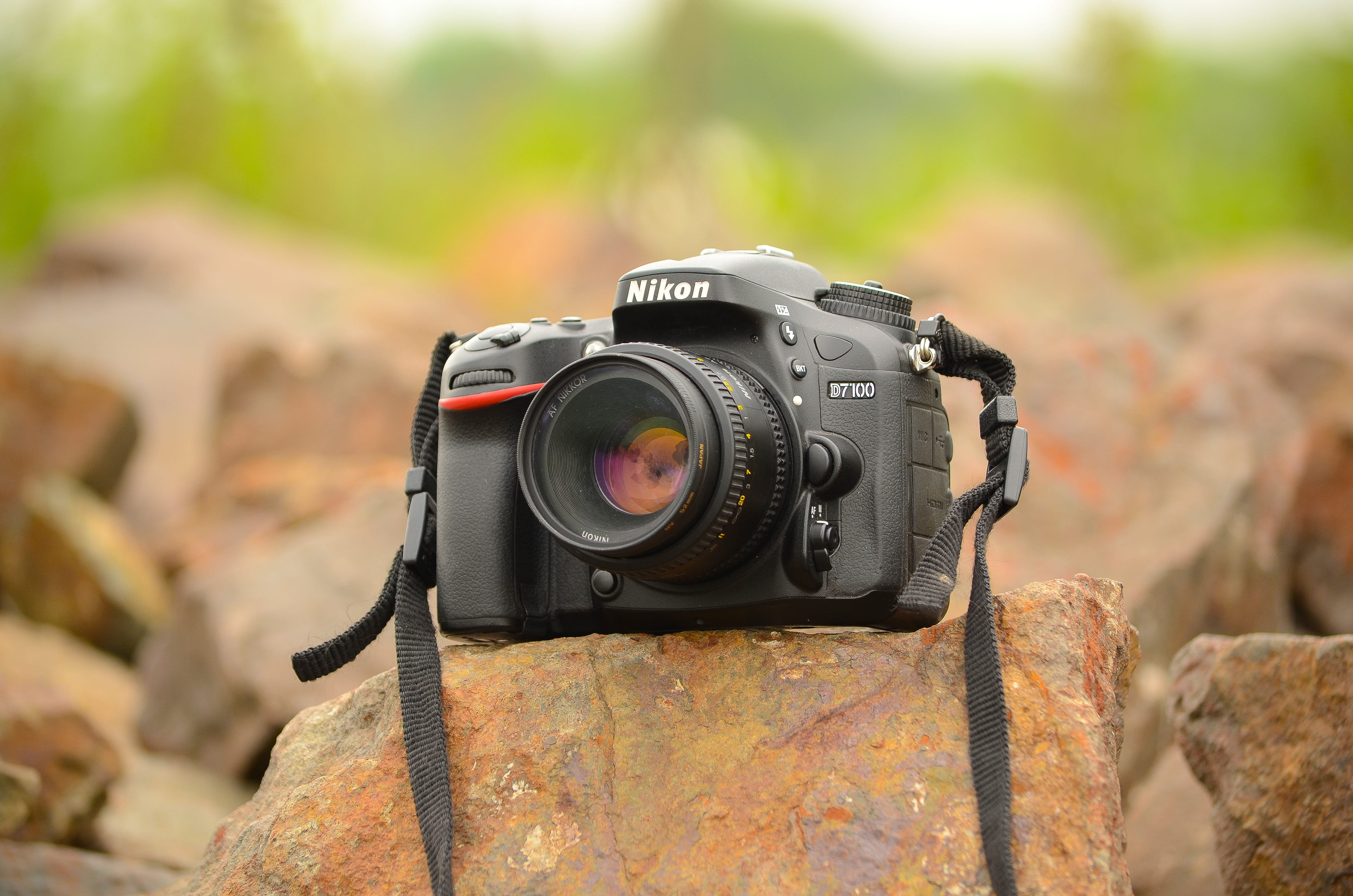 activity, nature, slr camera, metal, photographic equipment, camera - photographic equipment, digital, black color, outdoors, 4K, no people, day, focus on foreground, HD Wallpaper