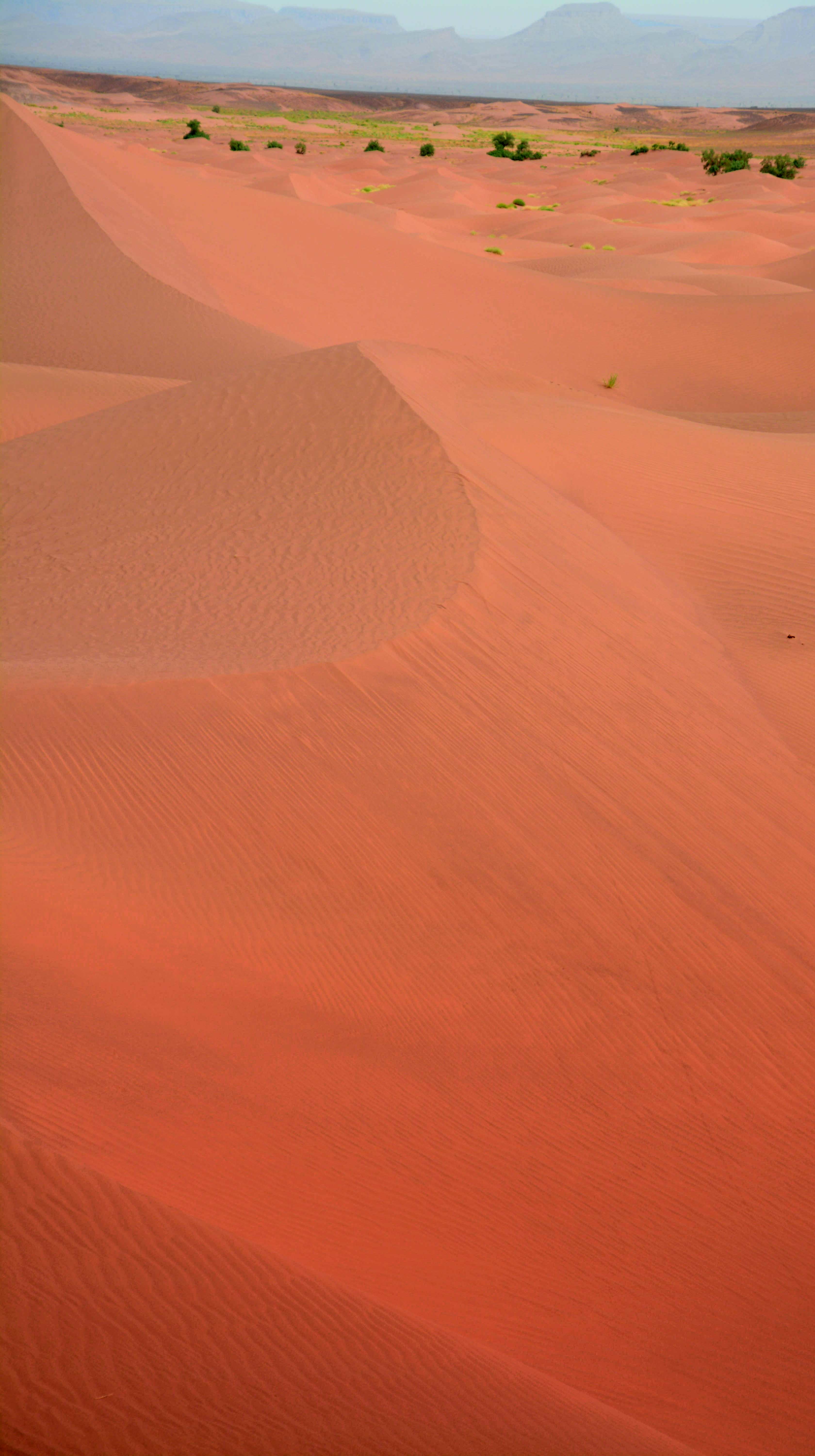 5K, sand Dune, environment, high angle view, land, desert, day, outdoors, scenics - nature, non-urban scene, sahara, africa, nature, orange, climate, sand, Phone HD Wallpaper