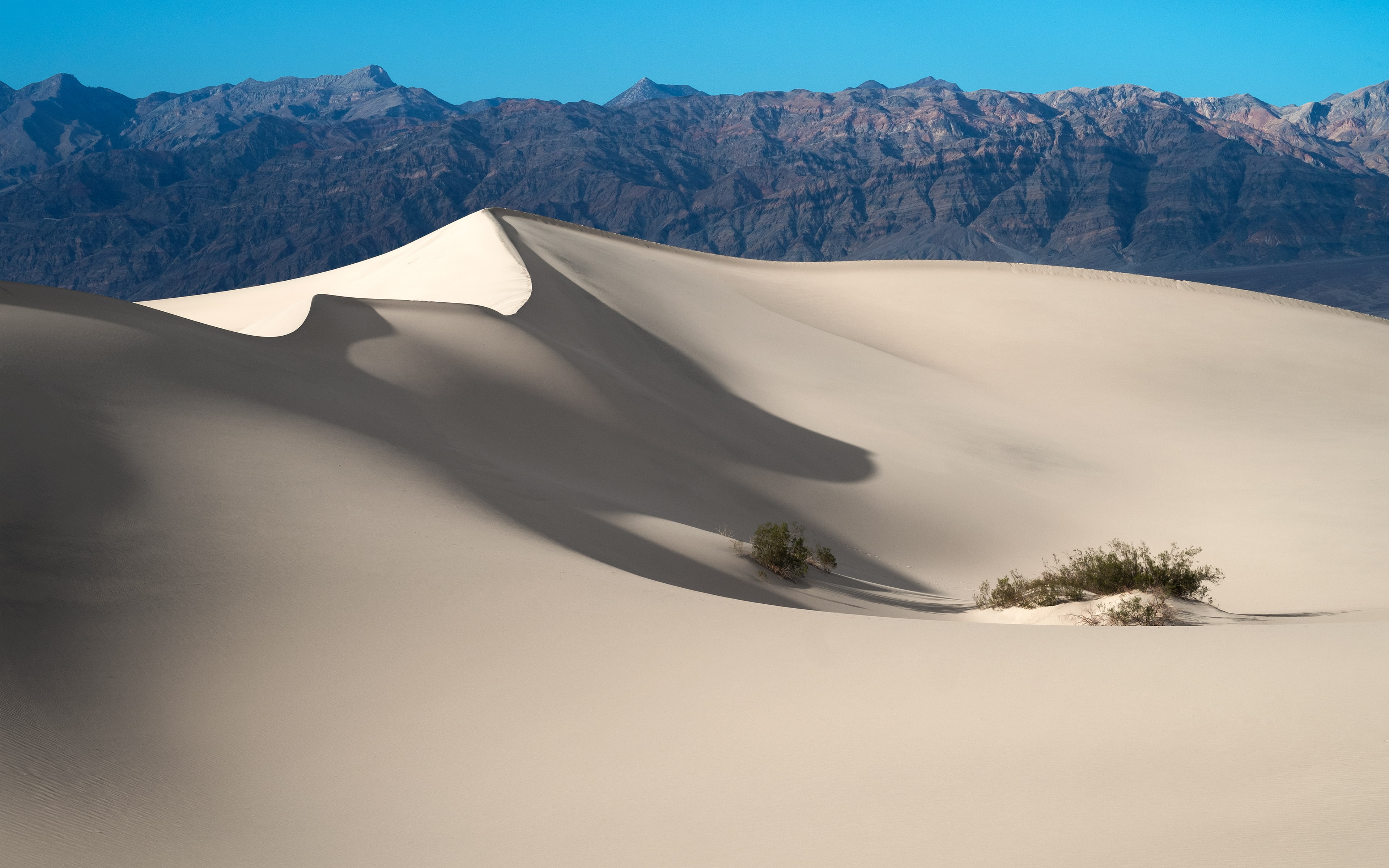 4K, California, Death Valley National Park, 4K, Sand Dunes, HD Wallpaper