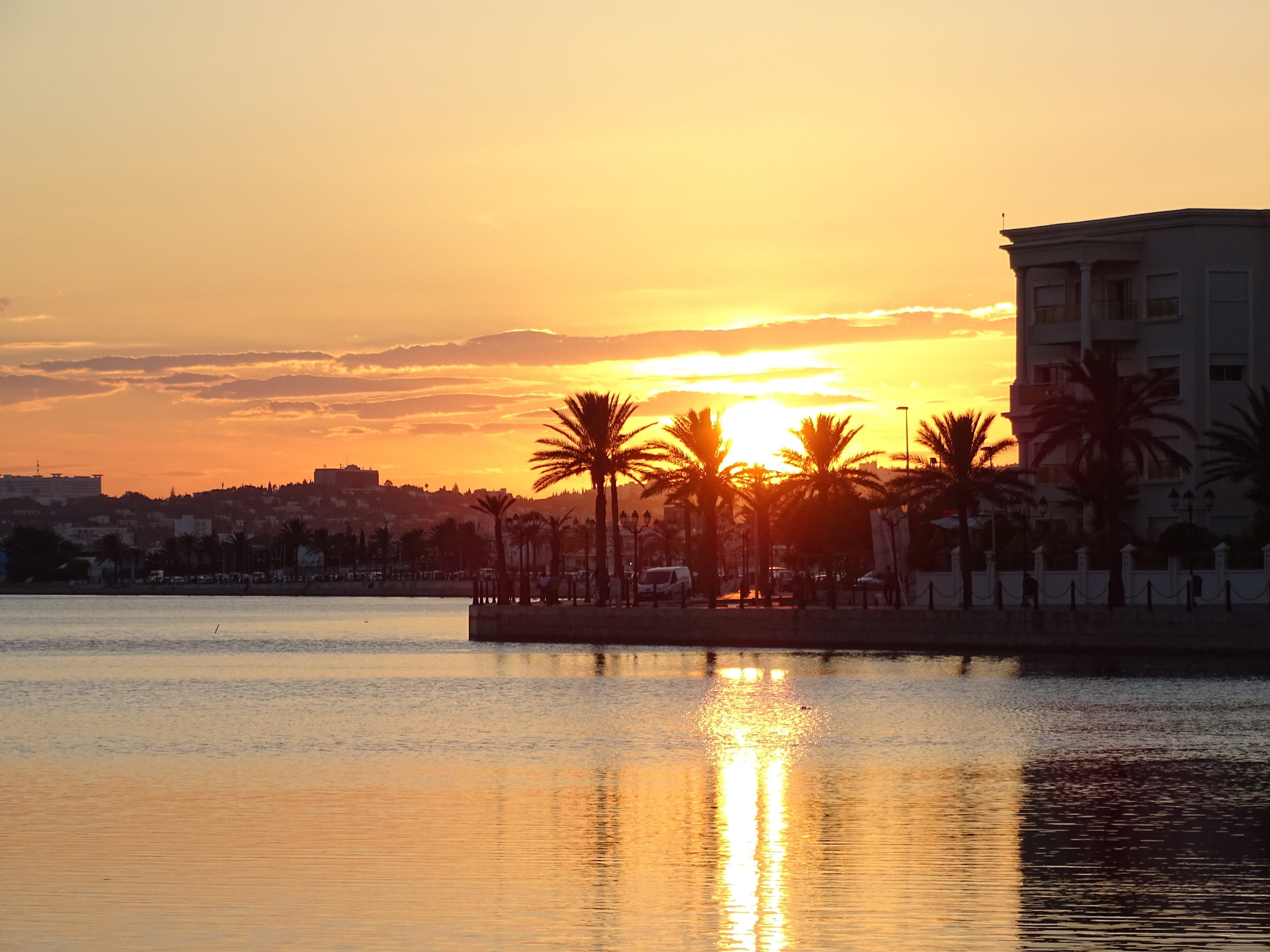 beauty in nature, 2K, Lake, sun, building exterior, Lake Of Tunis, tranquility, architecture, palm, outdoors, no people, Tunisia, Tunis, romantic sky, HD Wallpaper