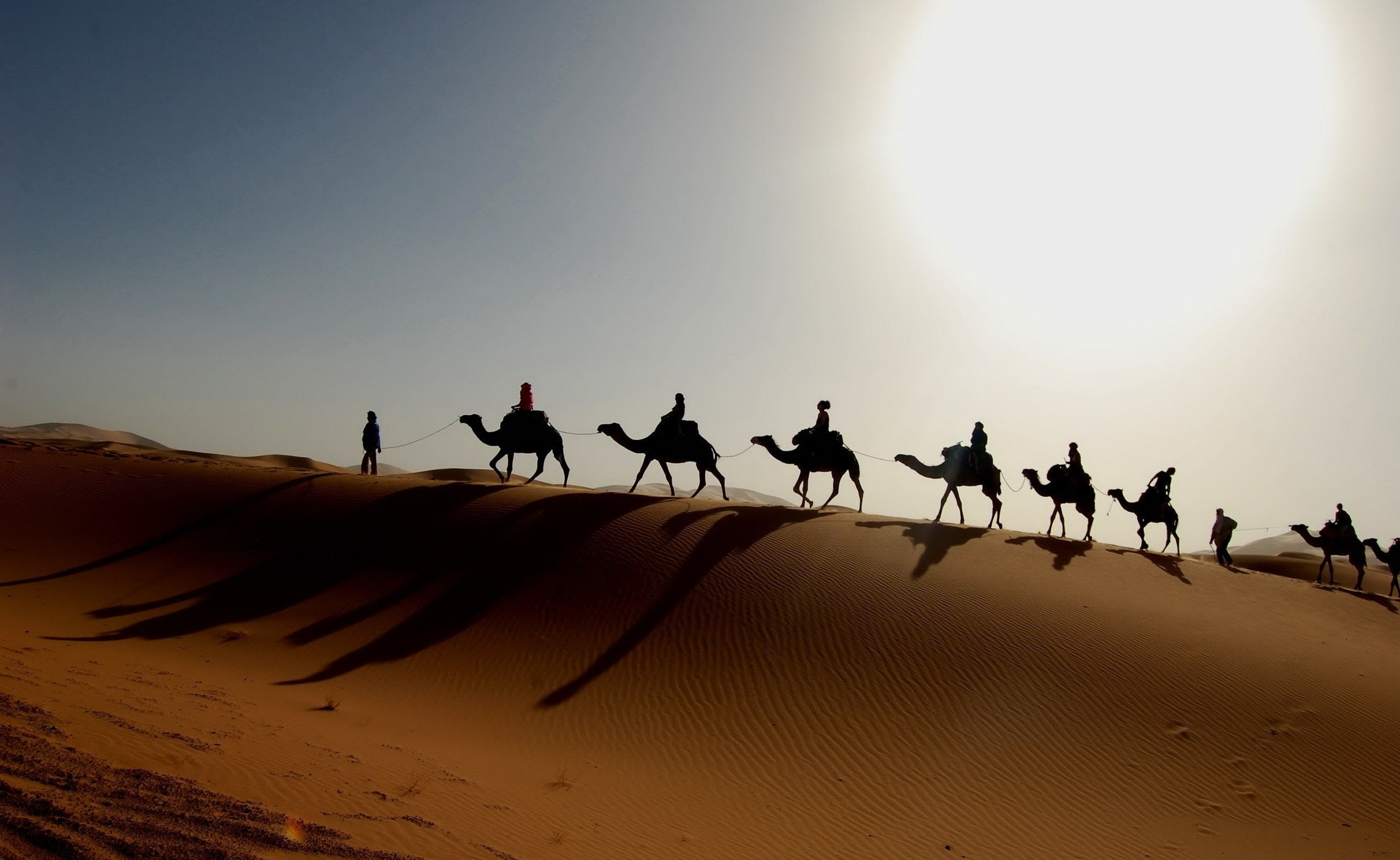 sky, Caravan, environment, landscape, group of people, real people, Nature, domestic animals, sand dune, men, camel, animal, sand, 2K, climate, mammal, HD Wallpaper