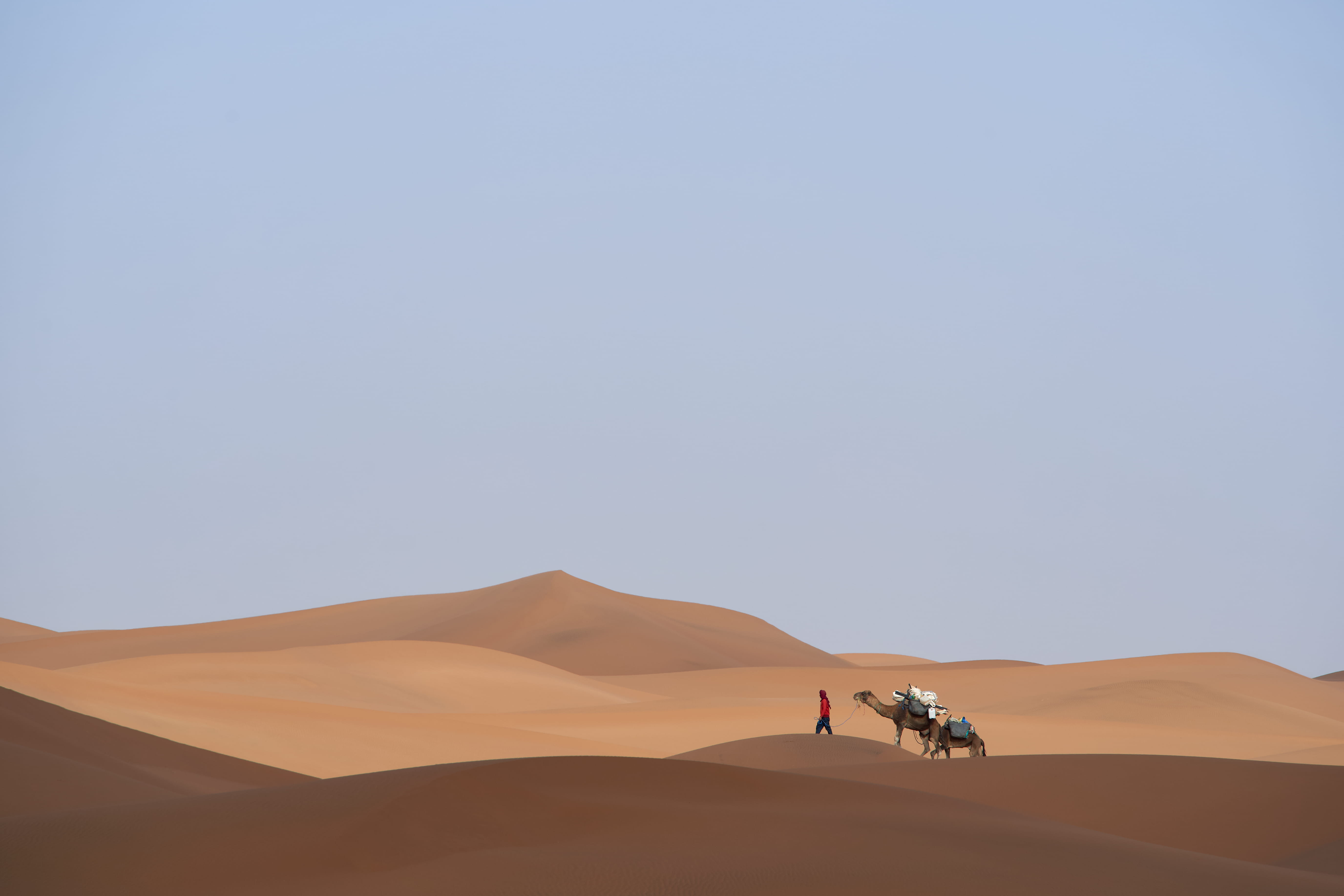 sunlight, man, beauty in nature, transportation, environment, caravan, scenics - nature, camel, copy space, travel, outdoors, clear sky, day, men, sahara desert, HD Wallpaper