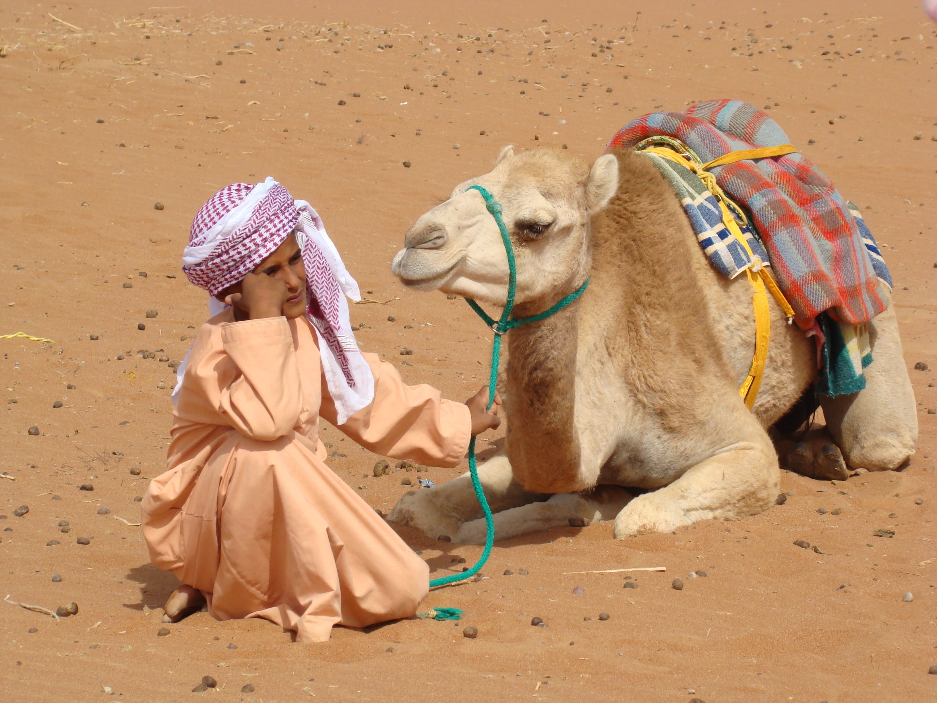 nature, 2K, sand, pets, day, climate, one animal, desert, real people, one person, domestic animals, women, domestic, bedouin, mammal, sitting, herbivorous, HD Wallpaper